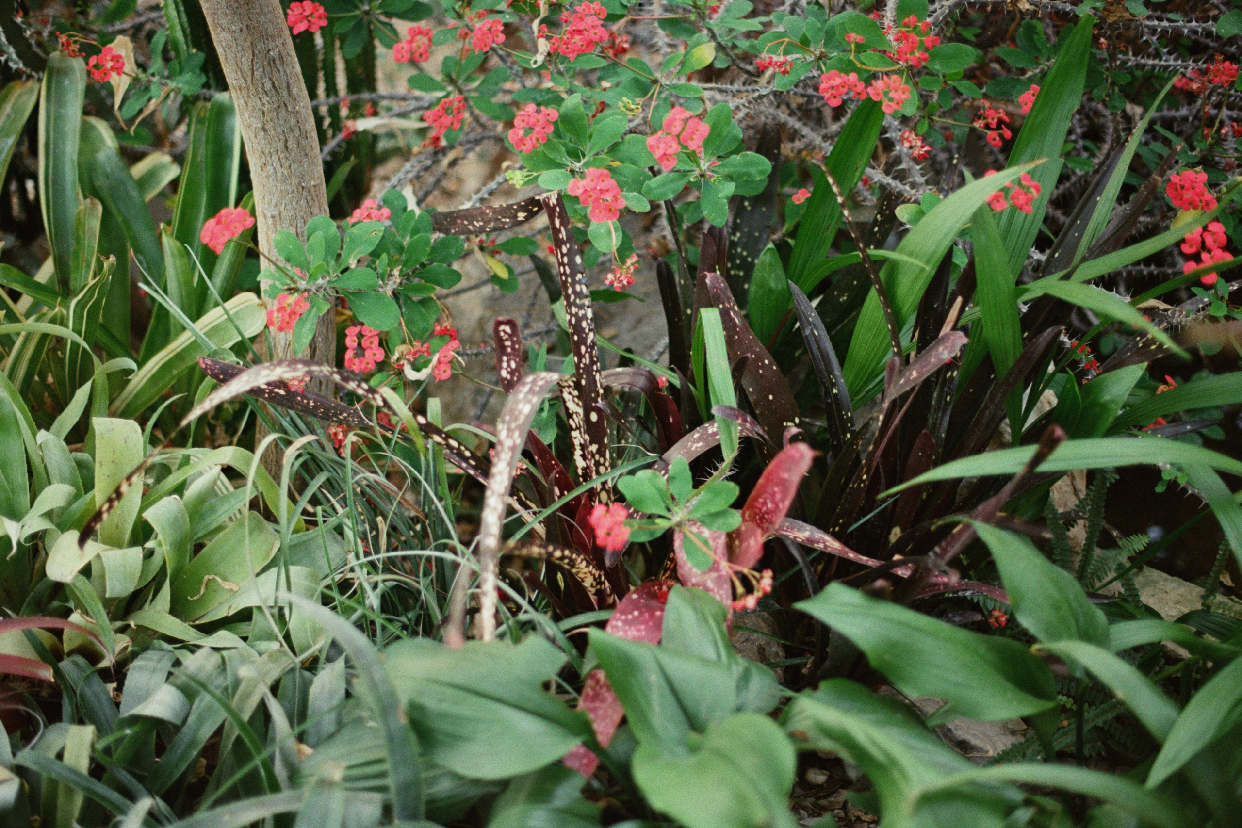 this time // ukraine, crimea III