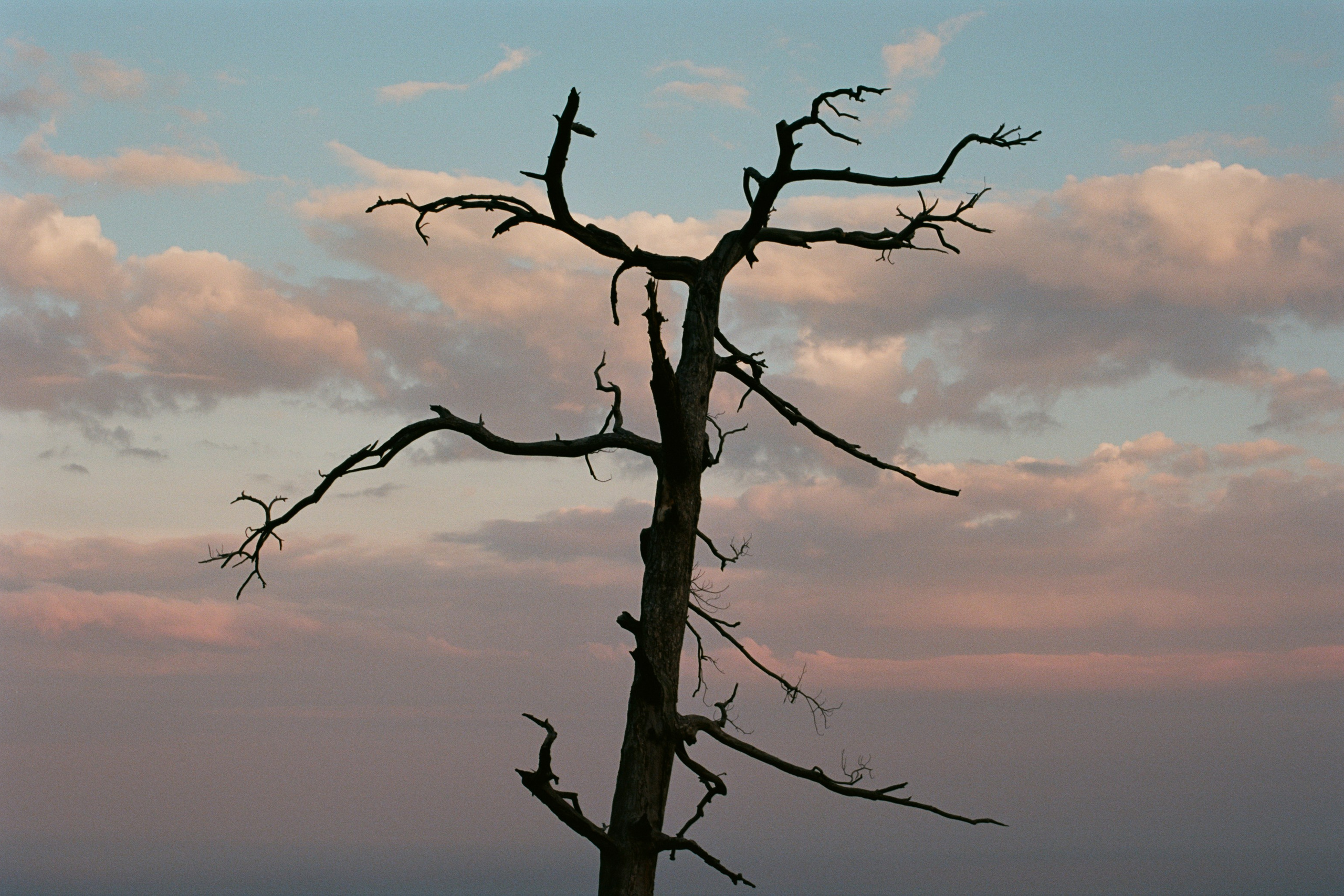 this time // ukraine, crimea