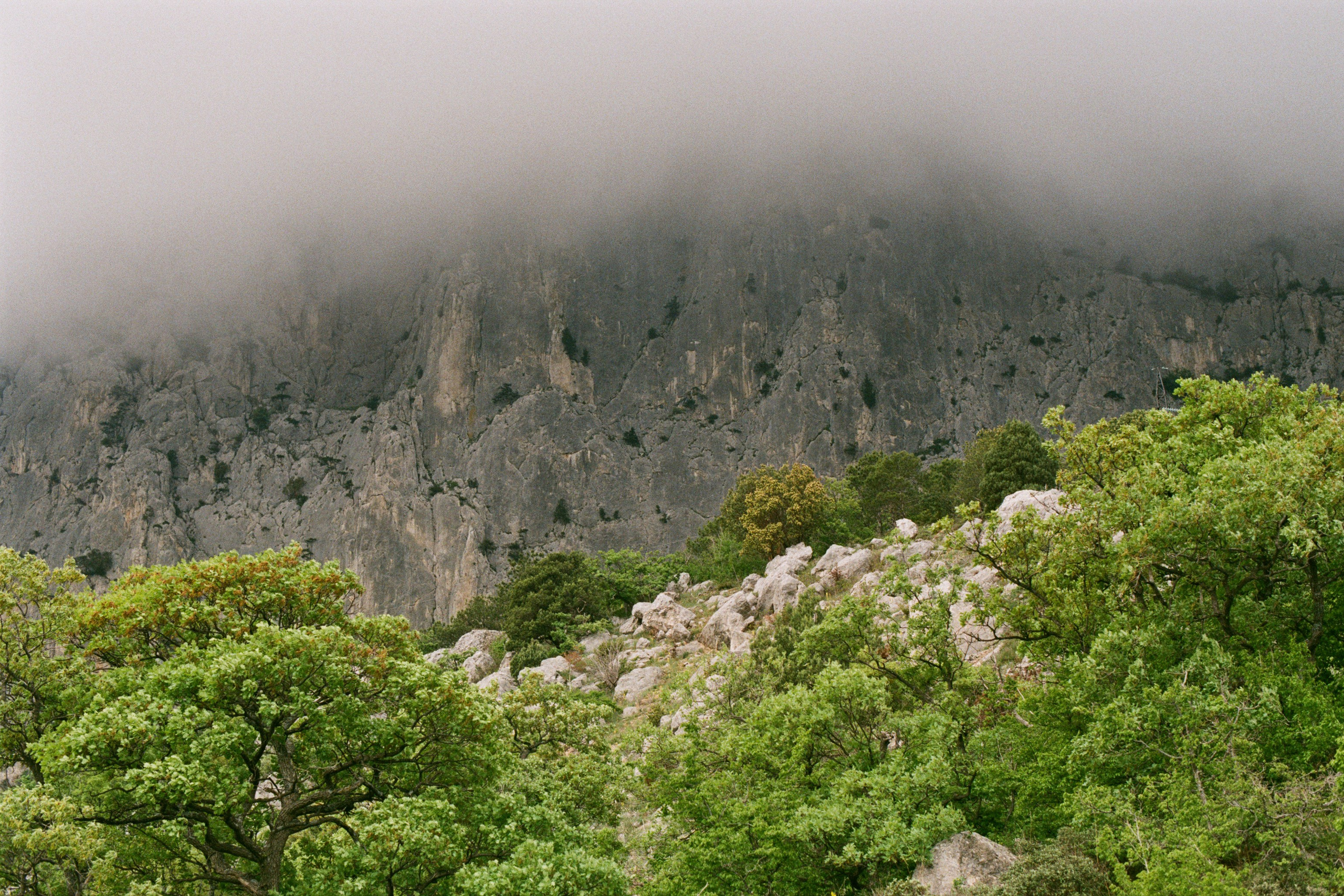 follow you // ukraine, crimea III
