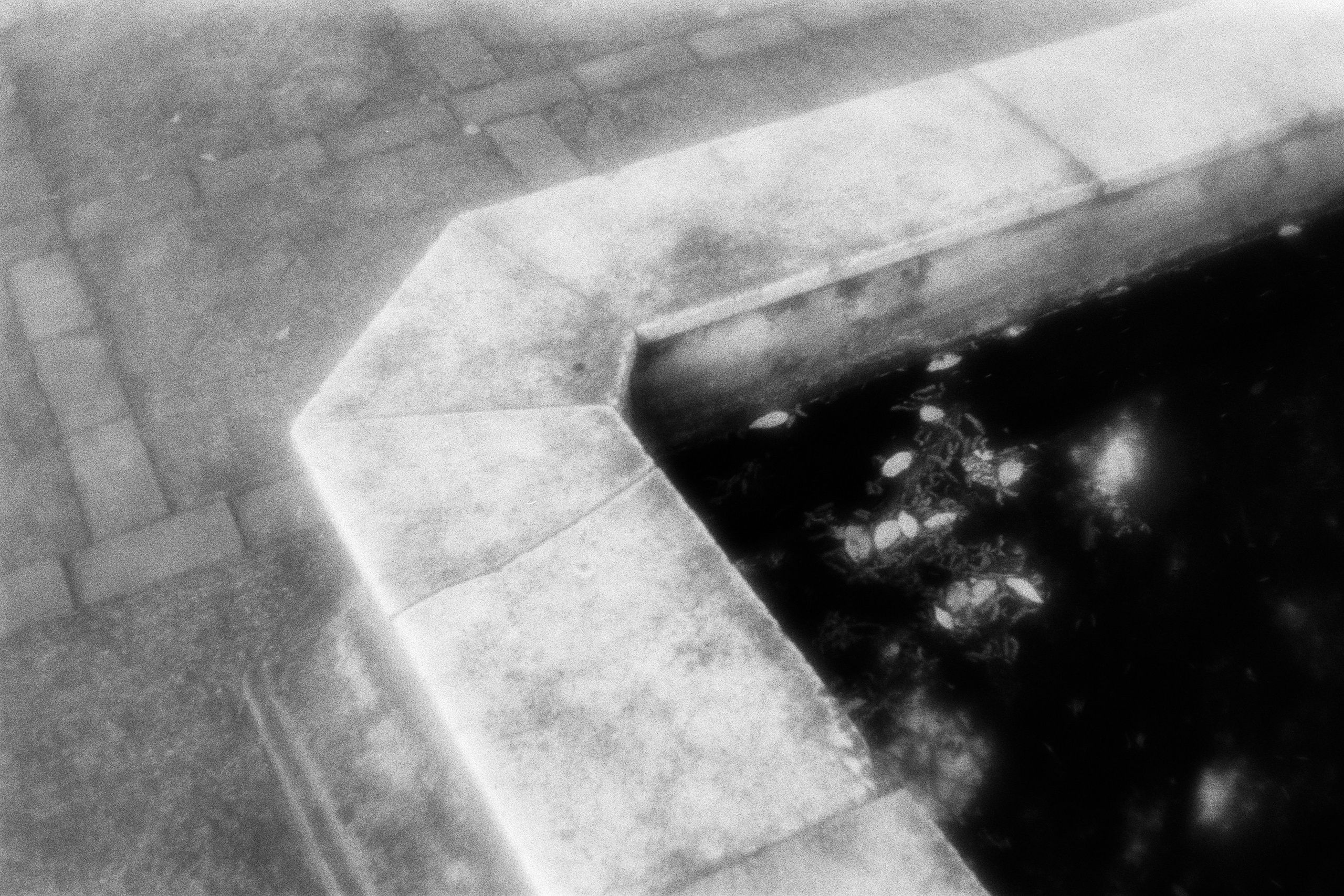 oblomki chuvstv // ukraine, crimea VI