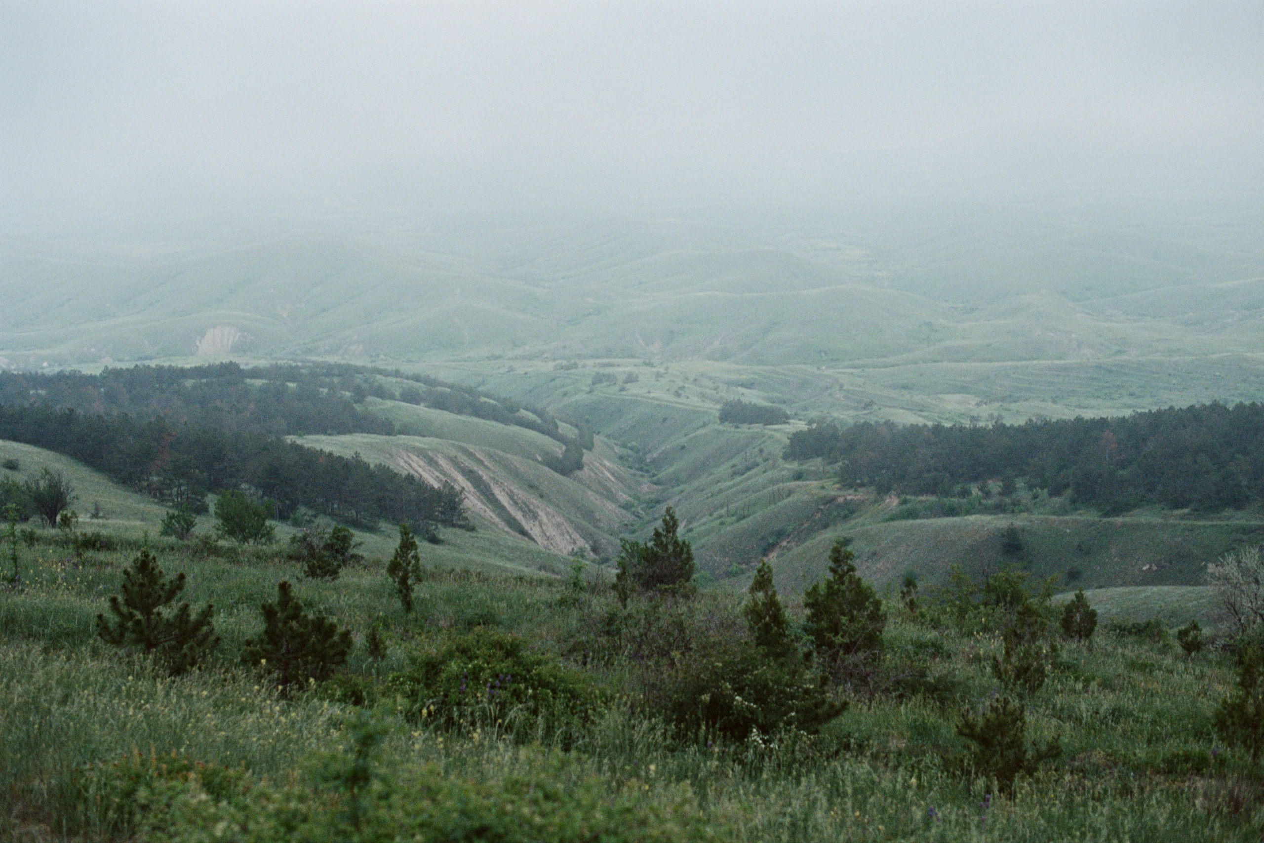 champagne supernova // ukraine, crimea