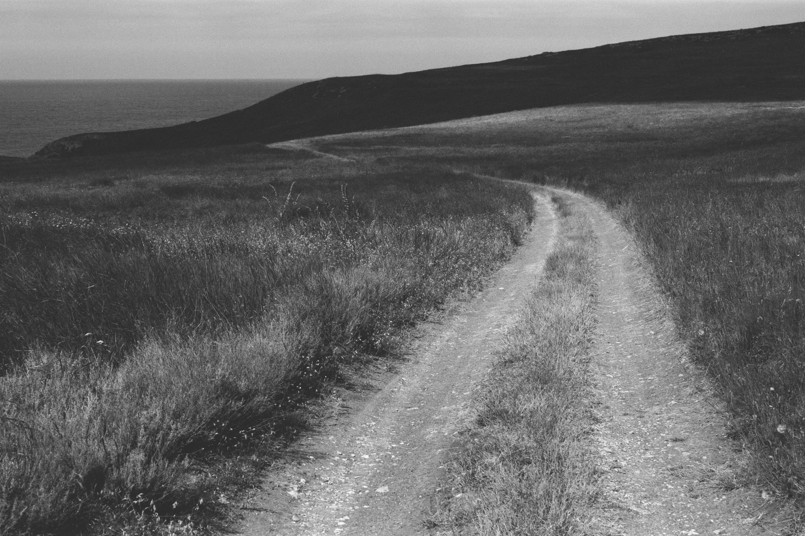 move me // ukraine, crimea III