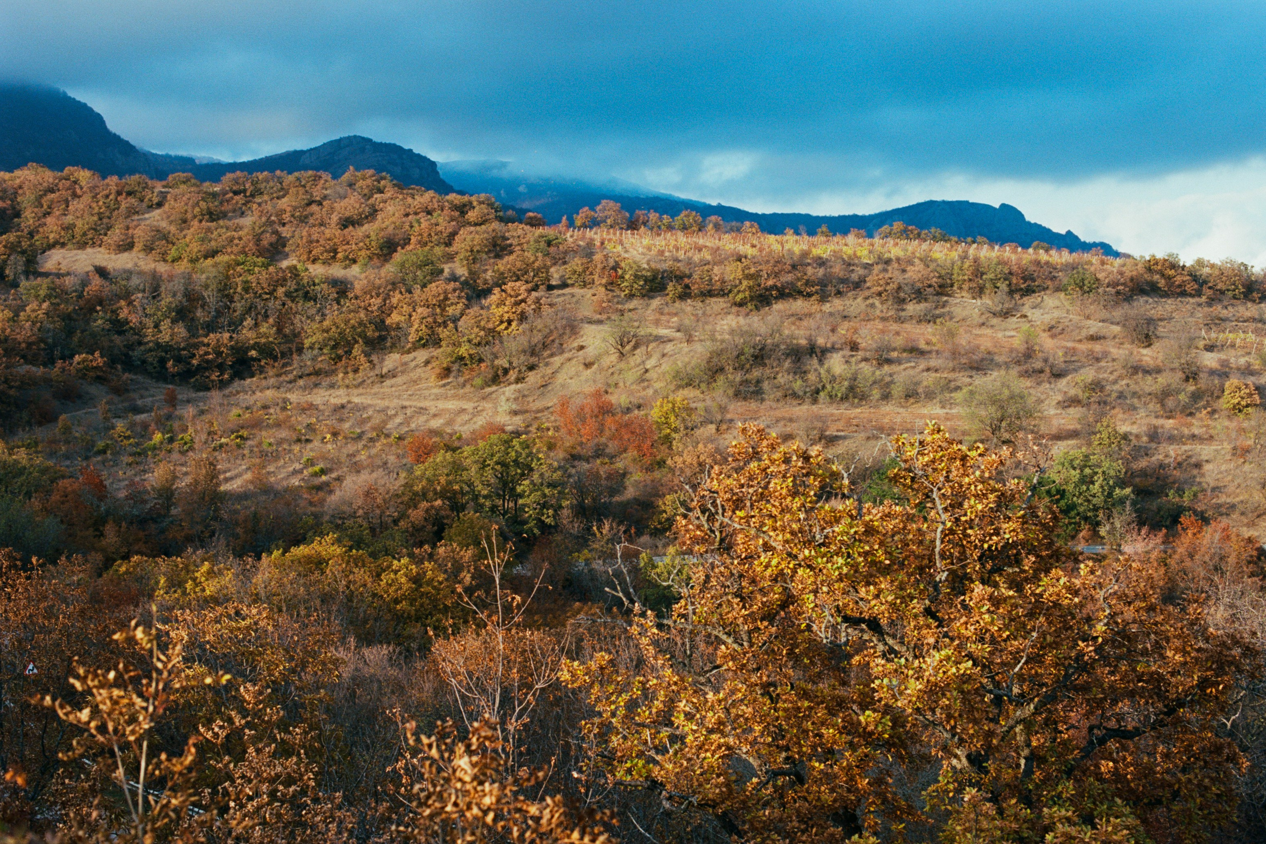 wherever you will go // ukraine, crimea II
