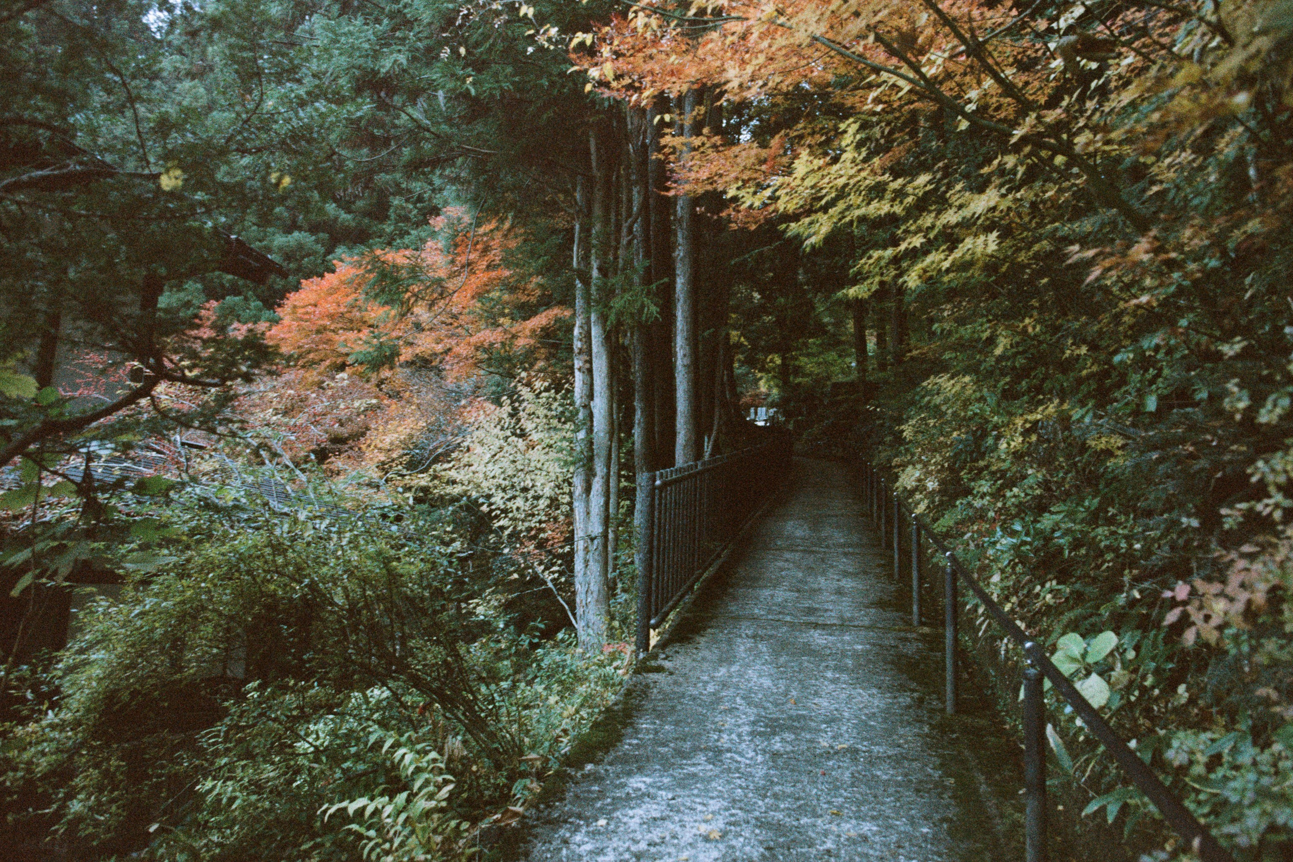 out of noise // japan, takayama II