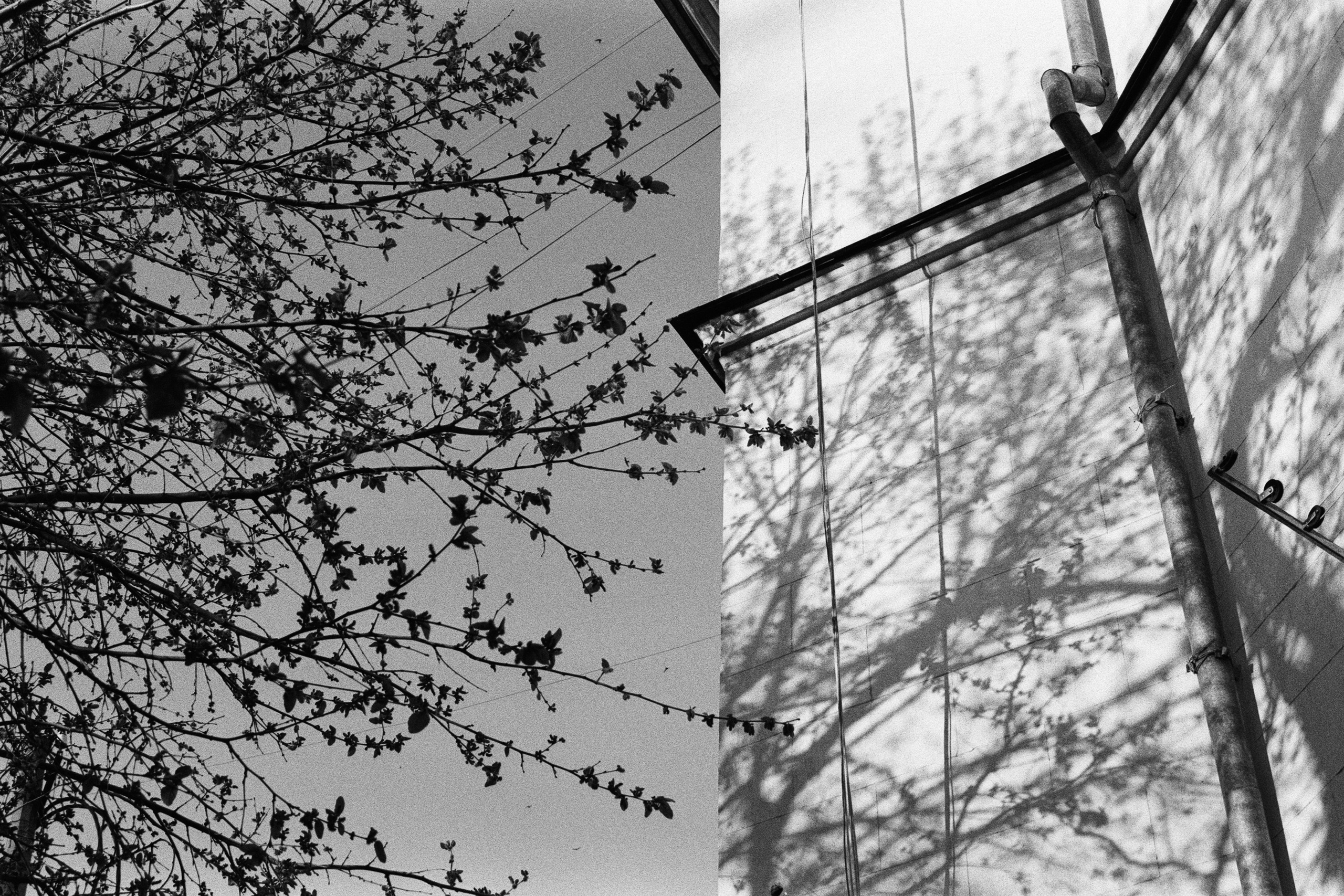 oblomki chuvstv // ukraine, crimea IV