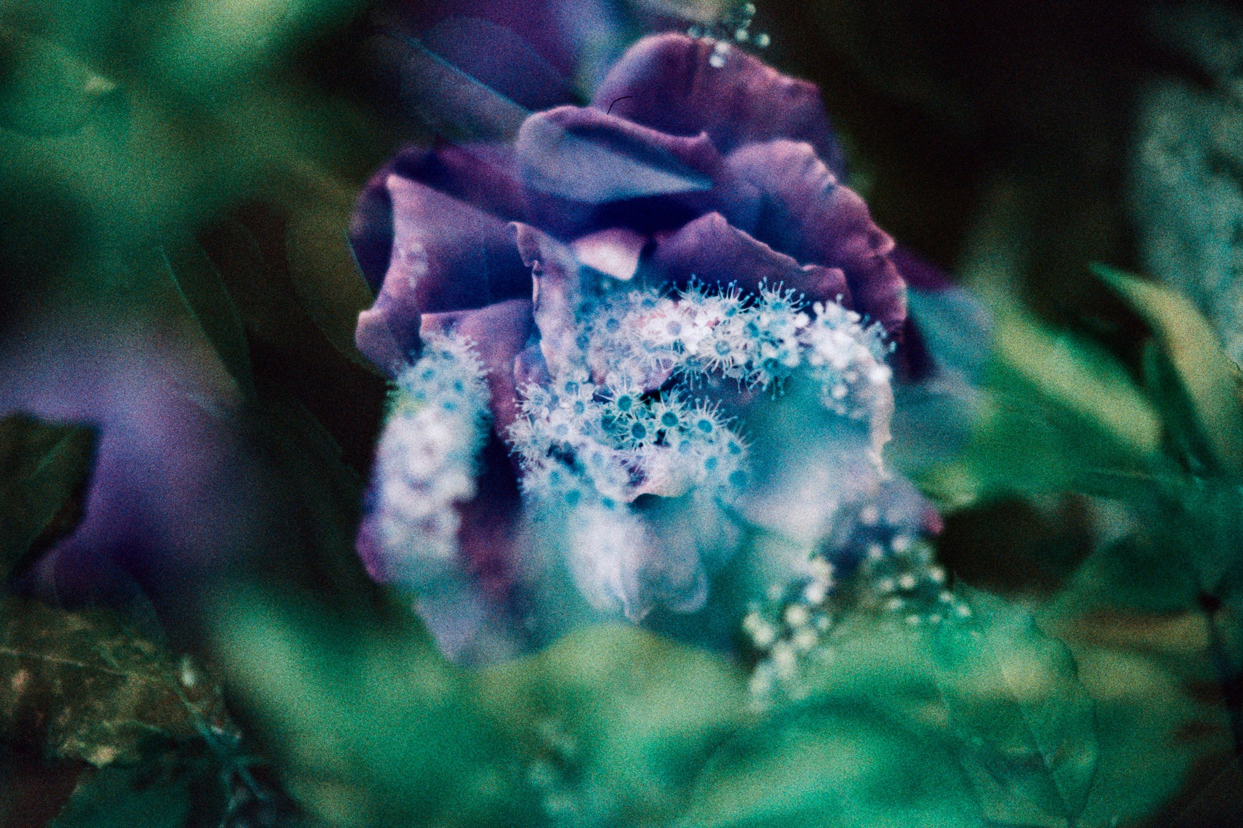 pain shopping // ukraine, crimea III