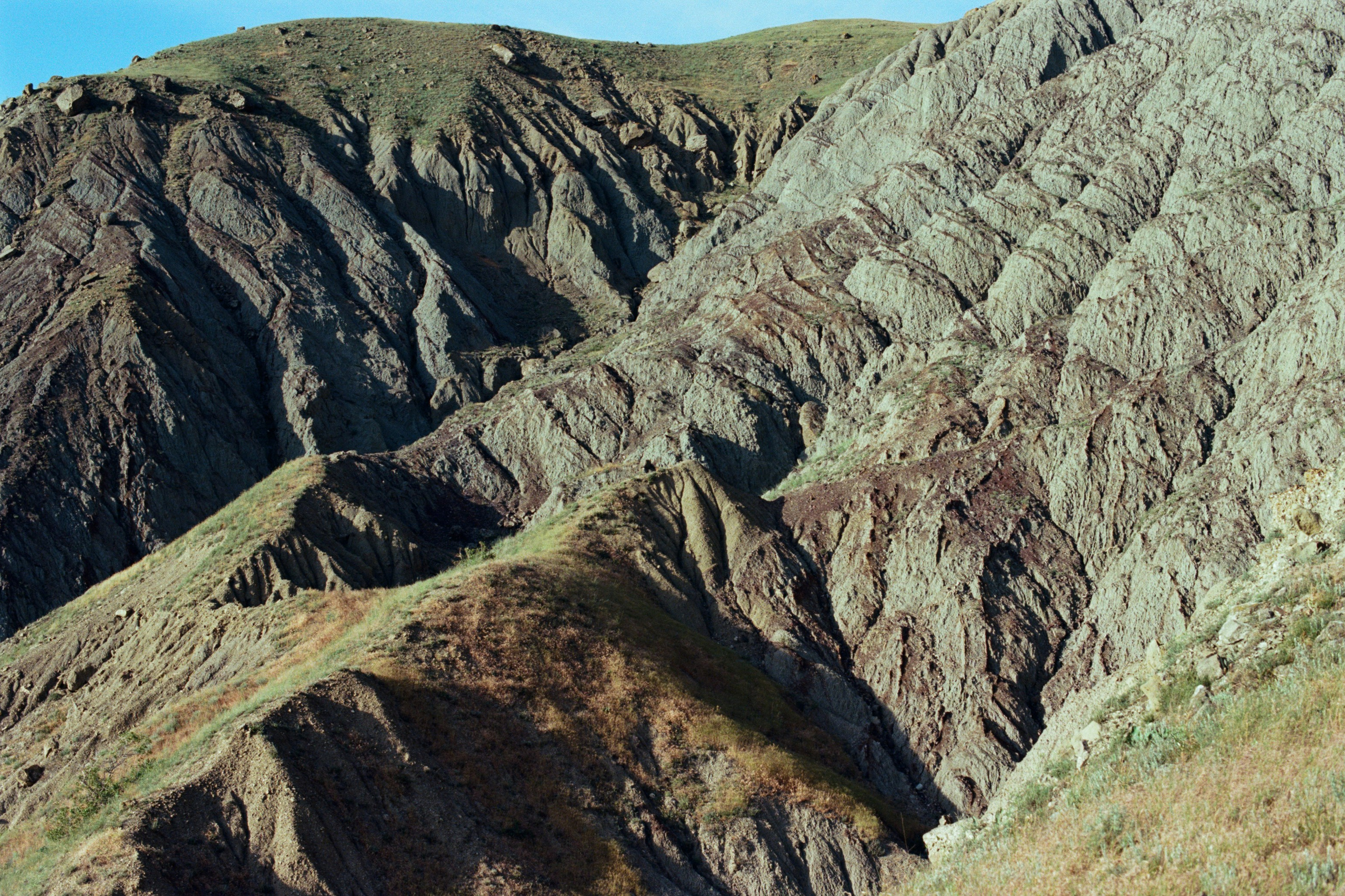 kool-aid // ukraine, crimea V