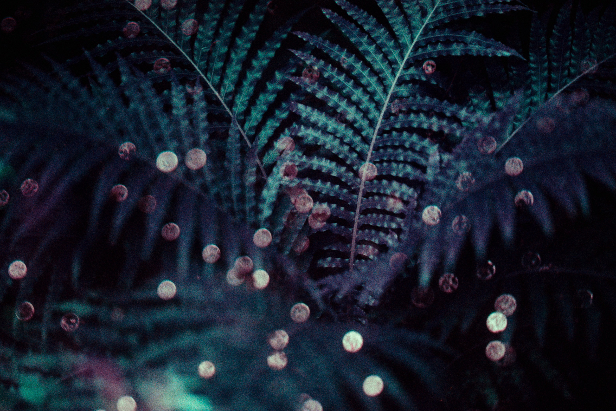 everything i could never say to you