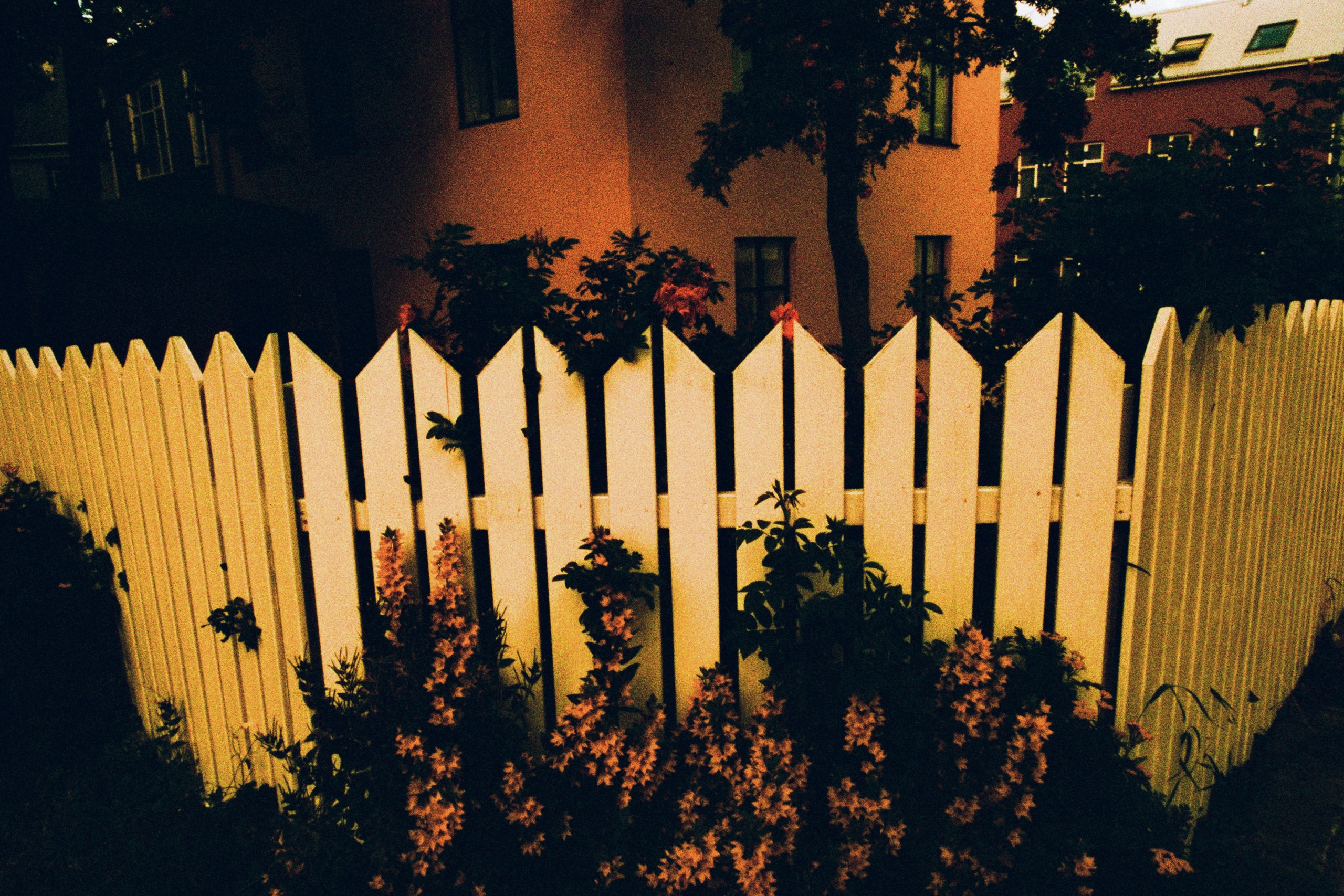 run no more // iceland, reykjavik II