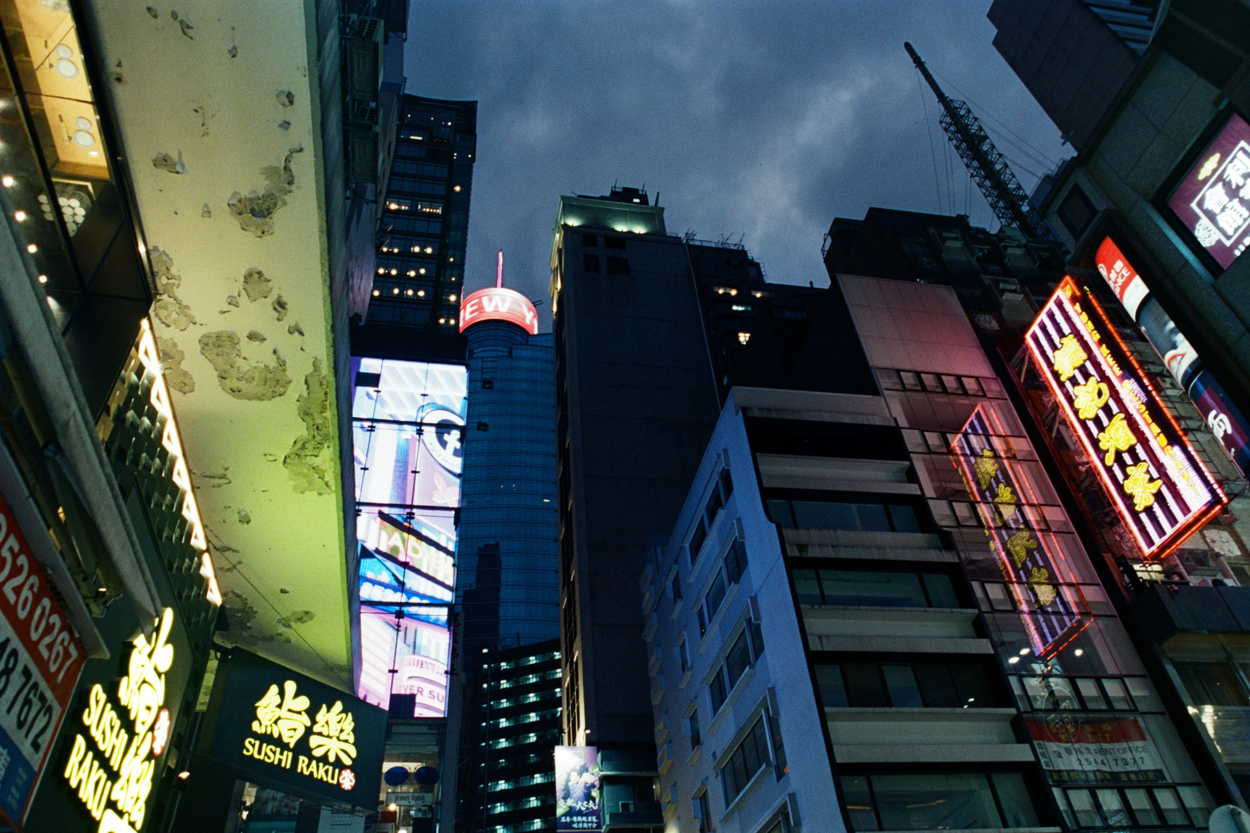 fake plastic trees // hong kong VI