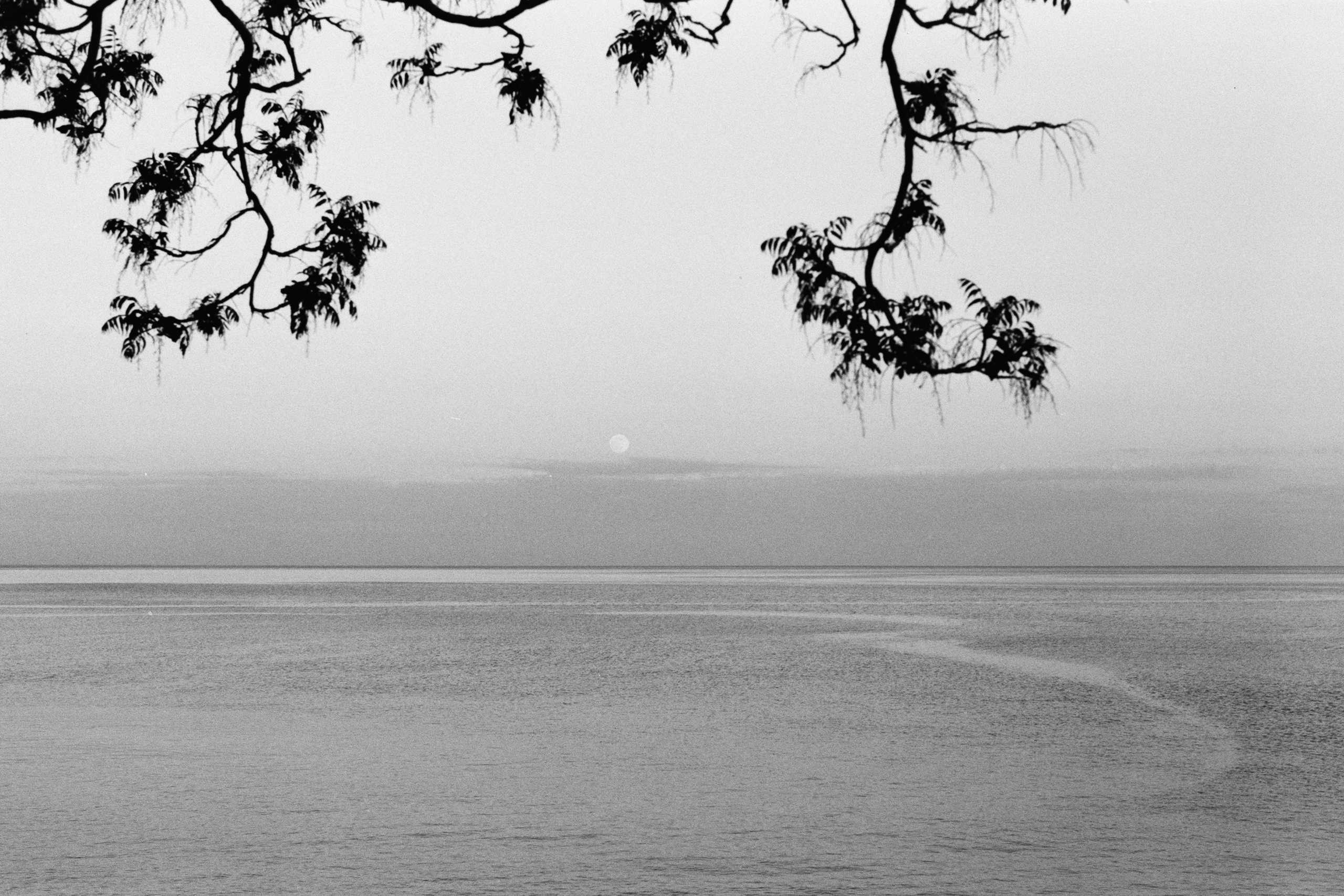 sparks // ukraine, crimea