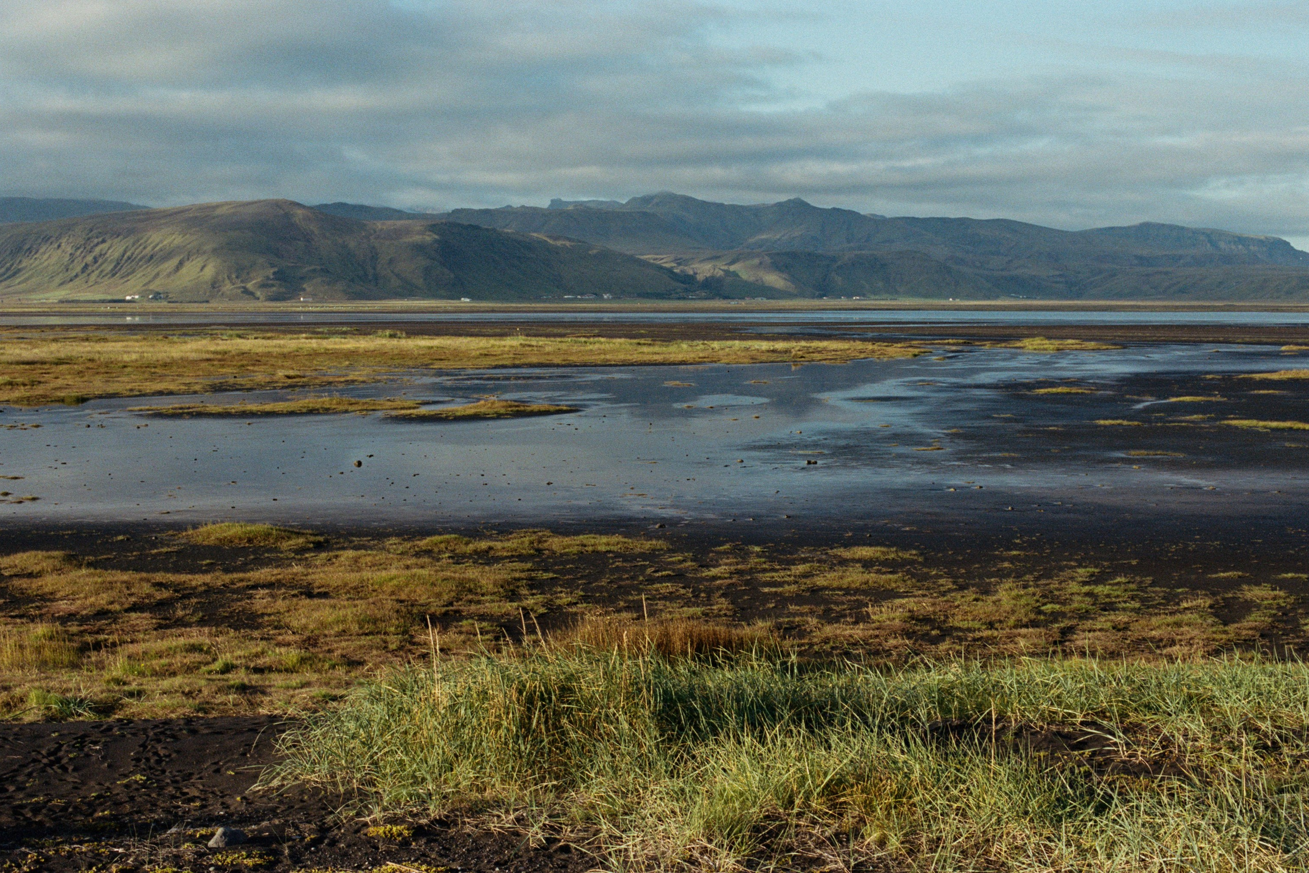 vor i vaglaskogi // iceland, dyrhólaey