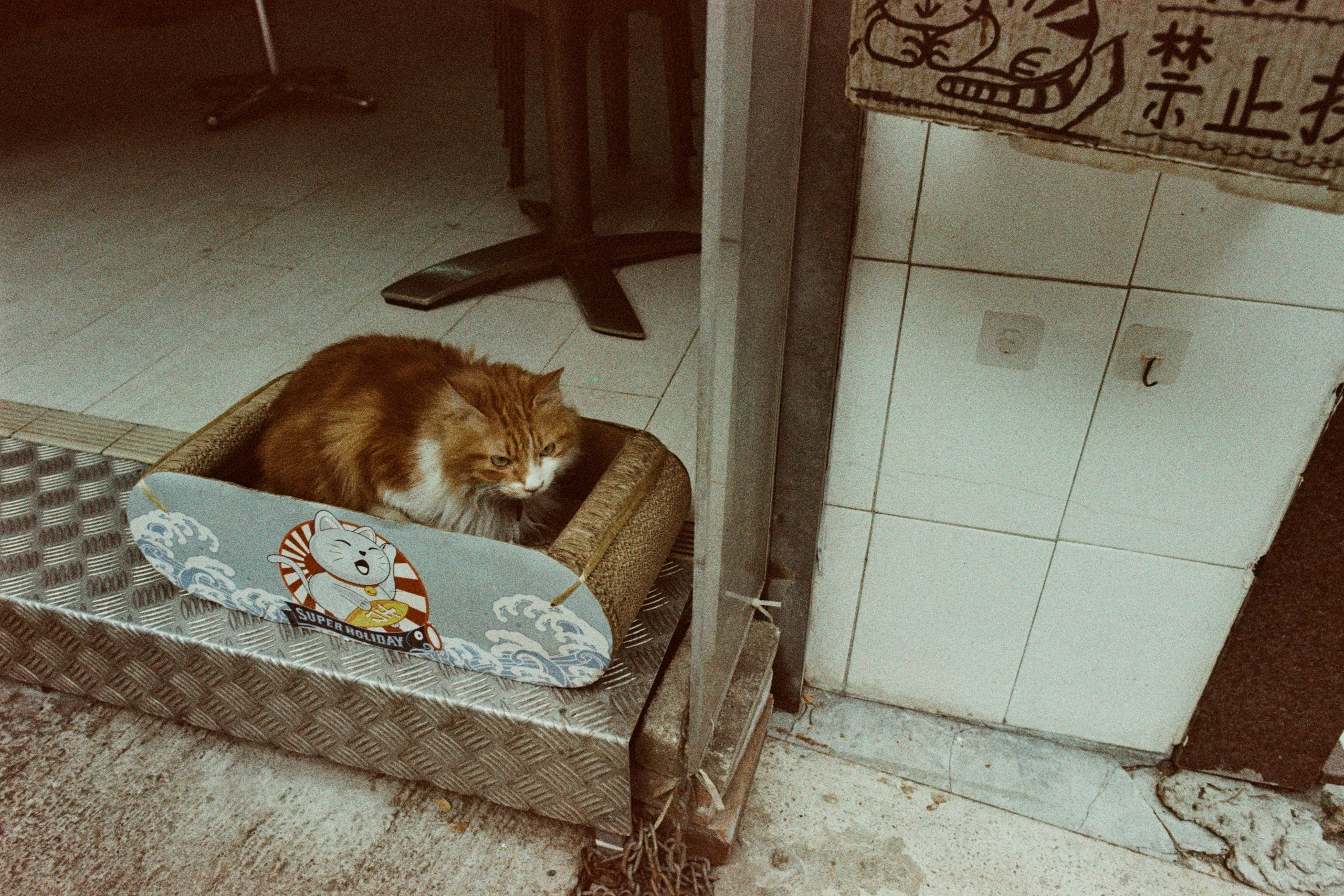 climbing up the walls // hong kong V