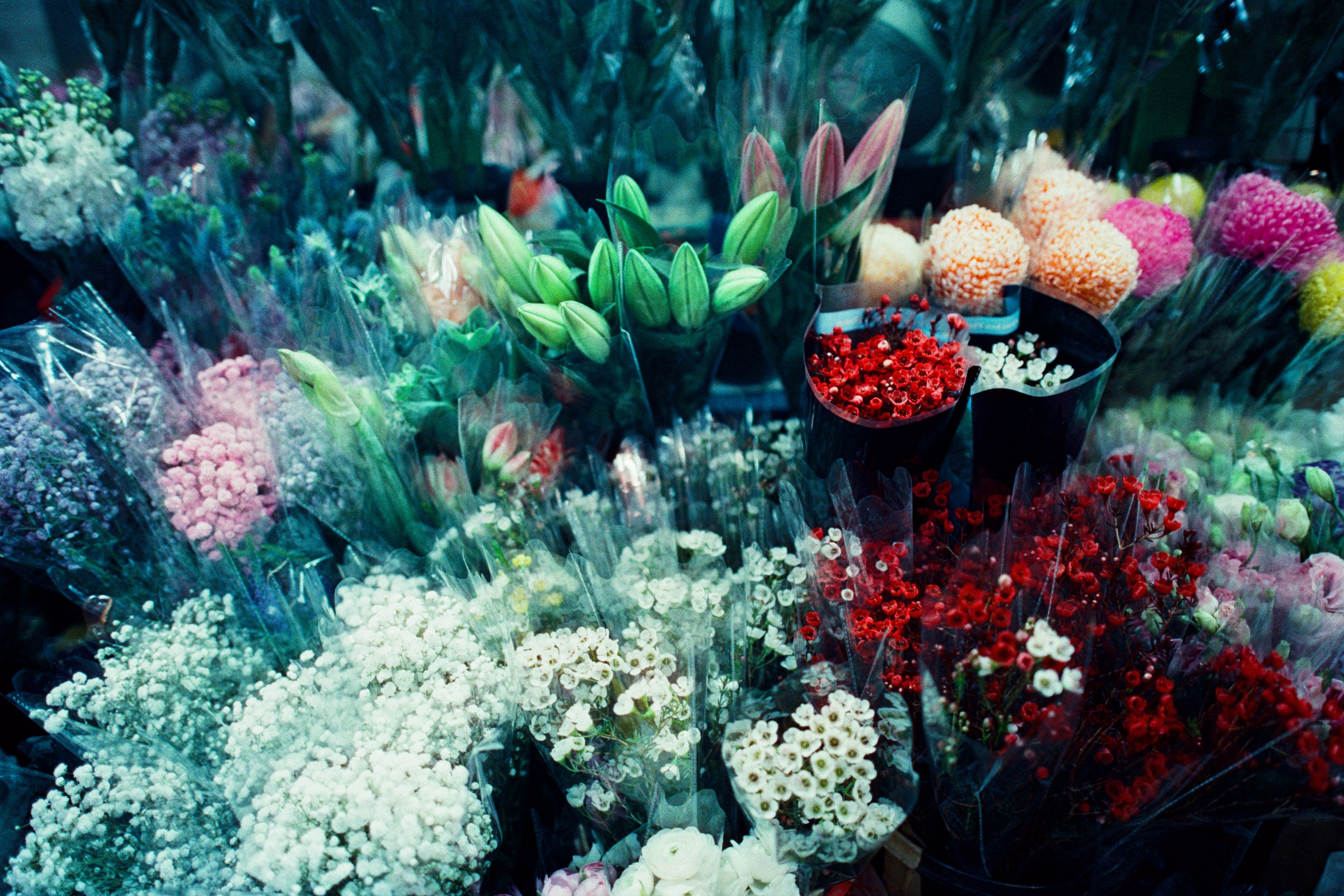 there there // hong kong