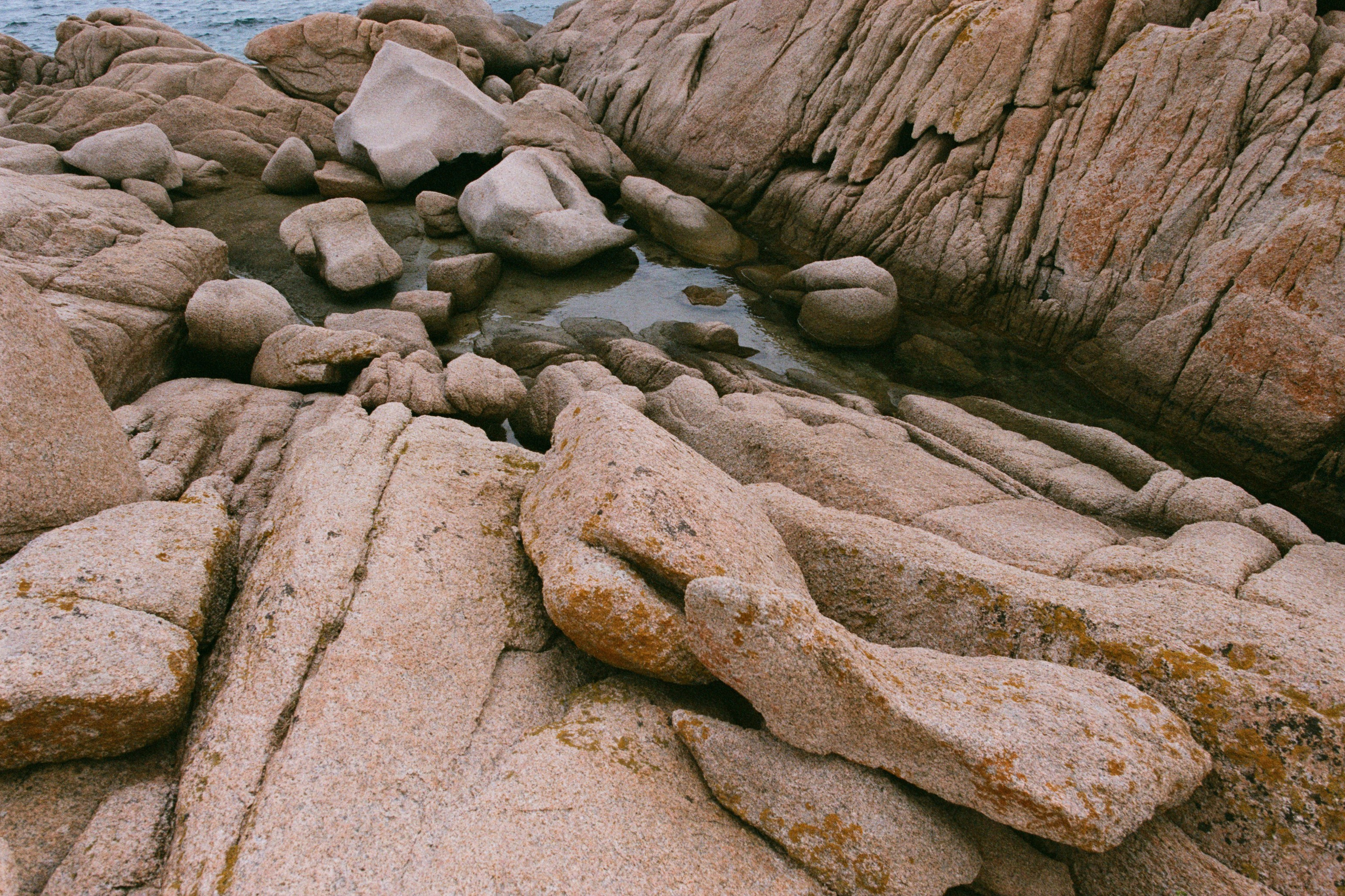 coraline // sardinia, costa smeralda