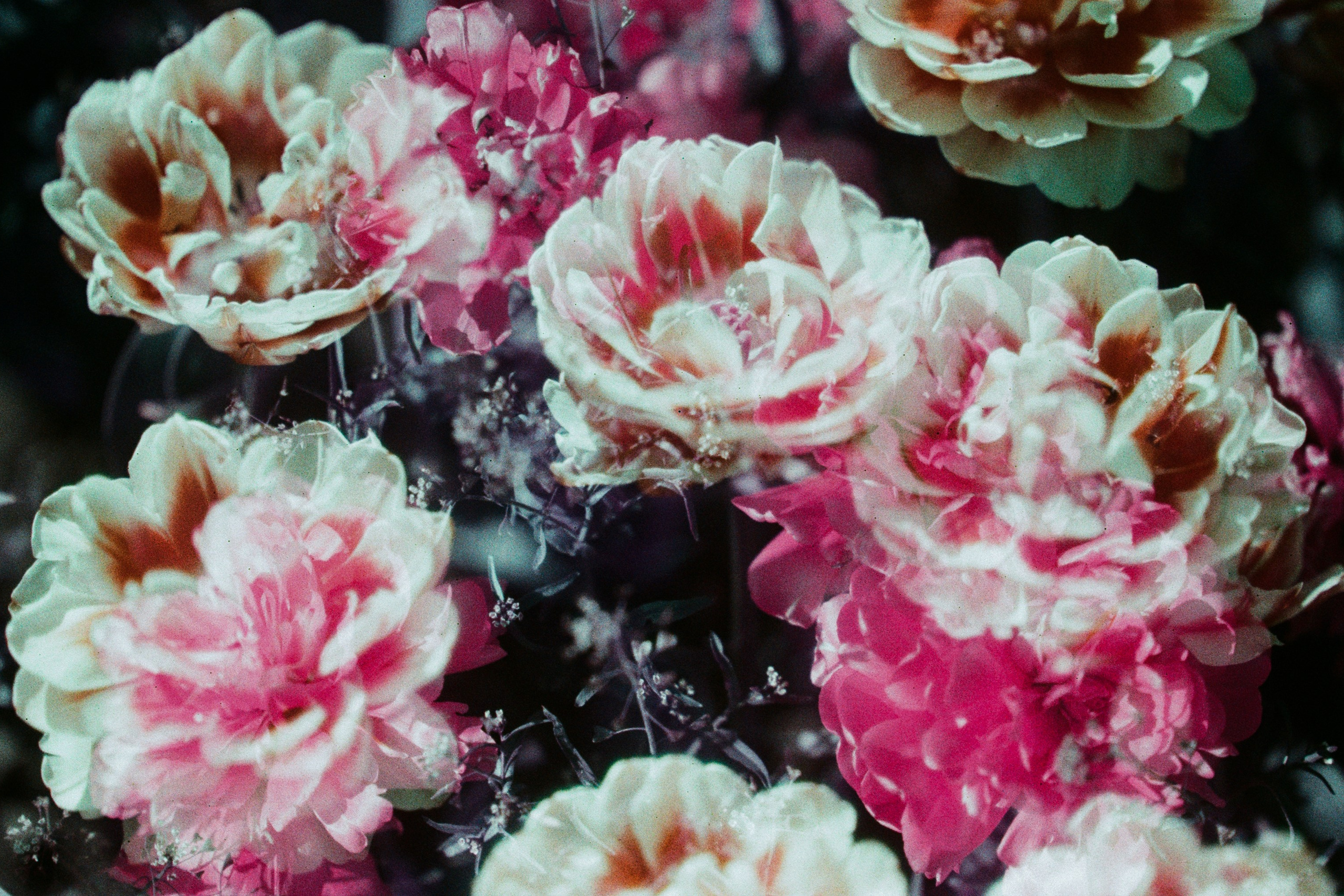 press enter to exit // ukraine, crimea X