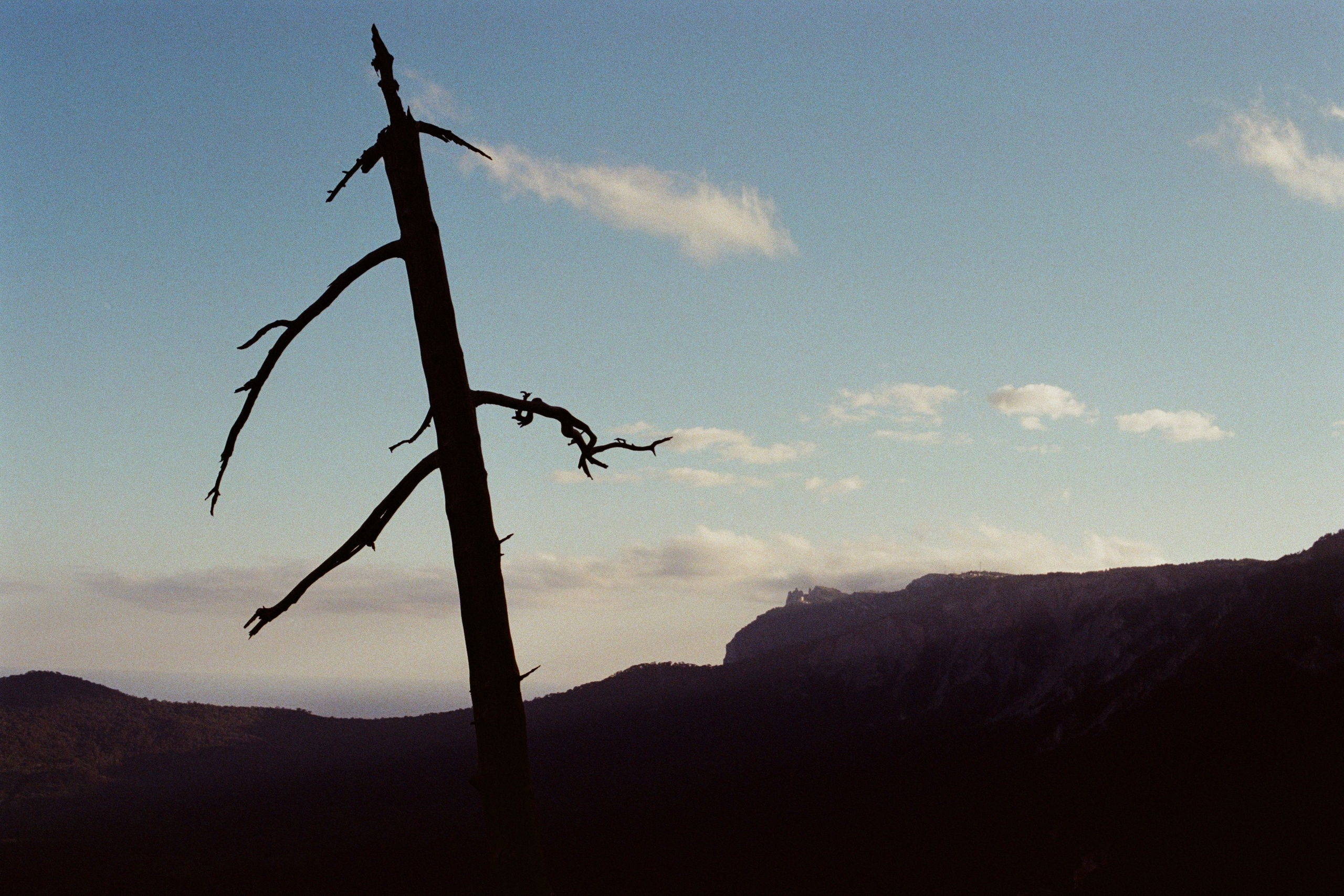 silver strings // ukraine, crimea III