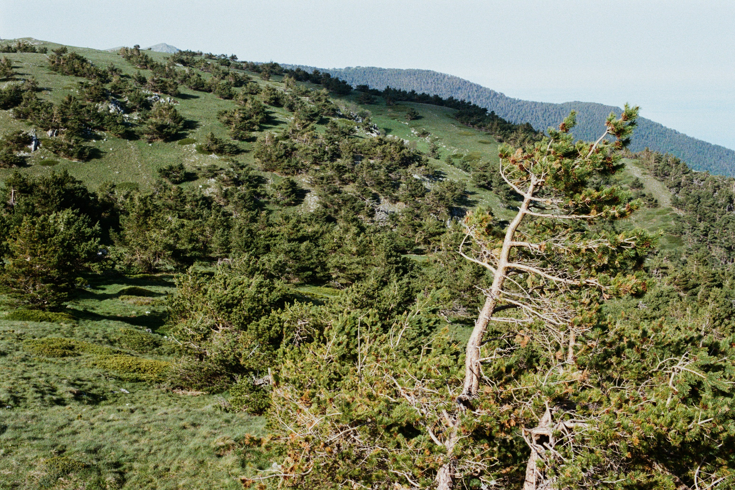 point of no reply // ukraine, crimea III