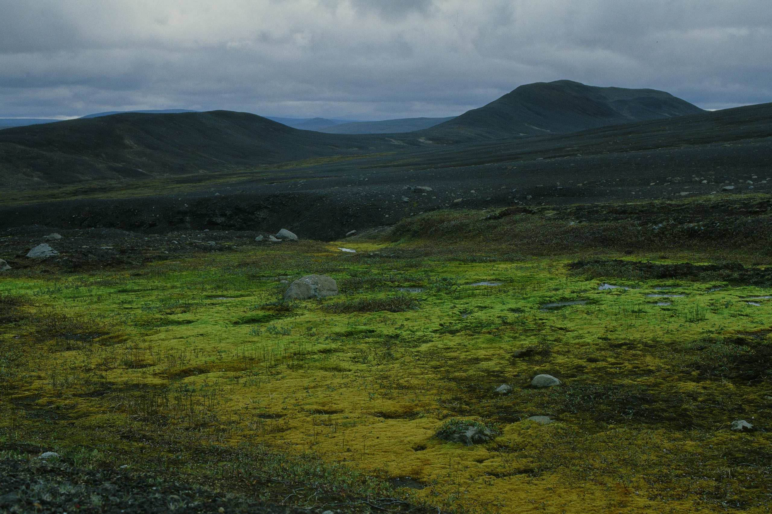 bloodline // iceland, f907