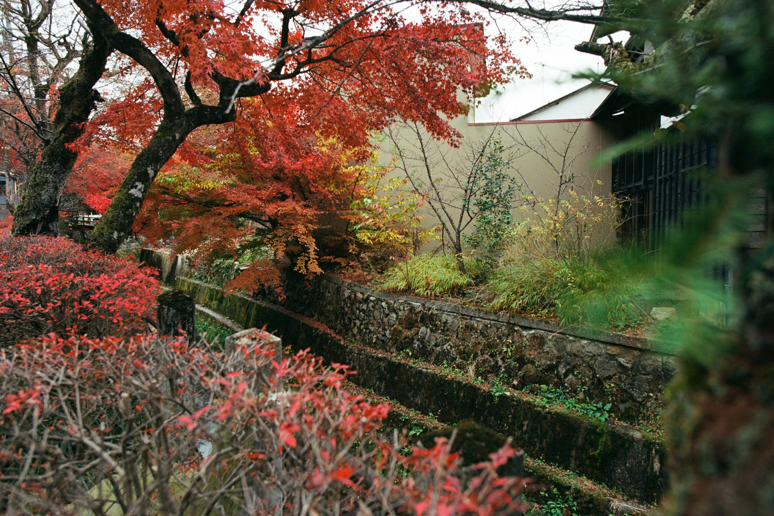 out of noise // japan, takayama IV