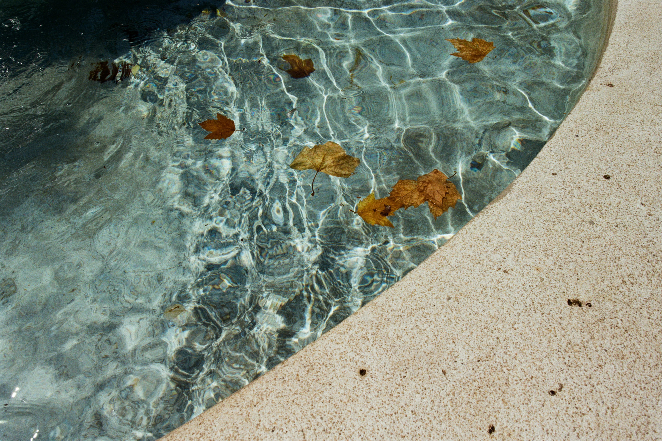 the contract // france, nice