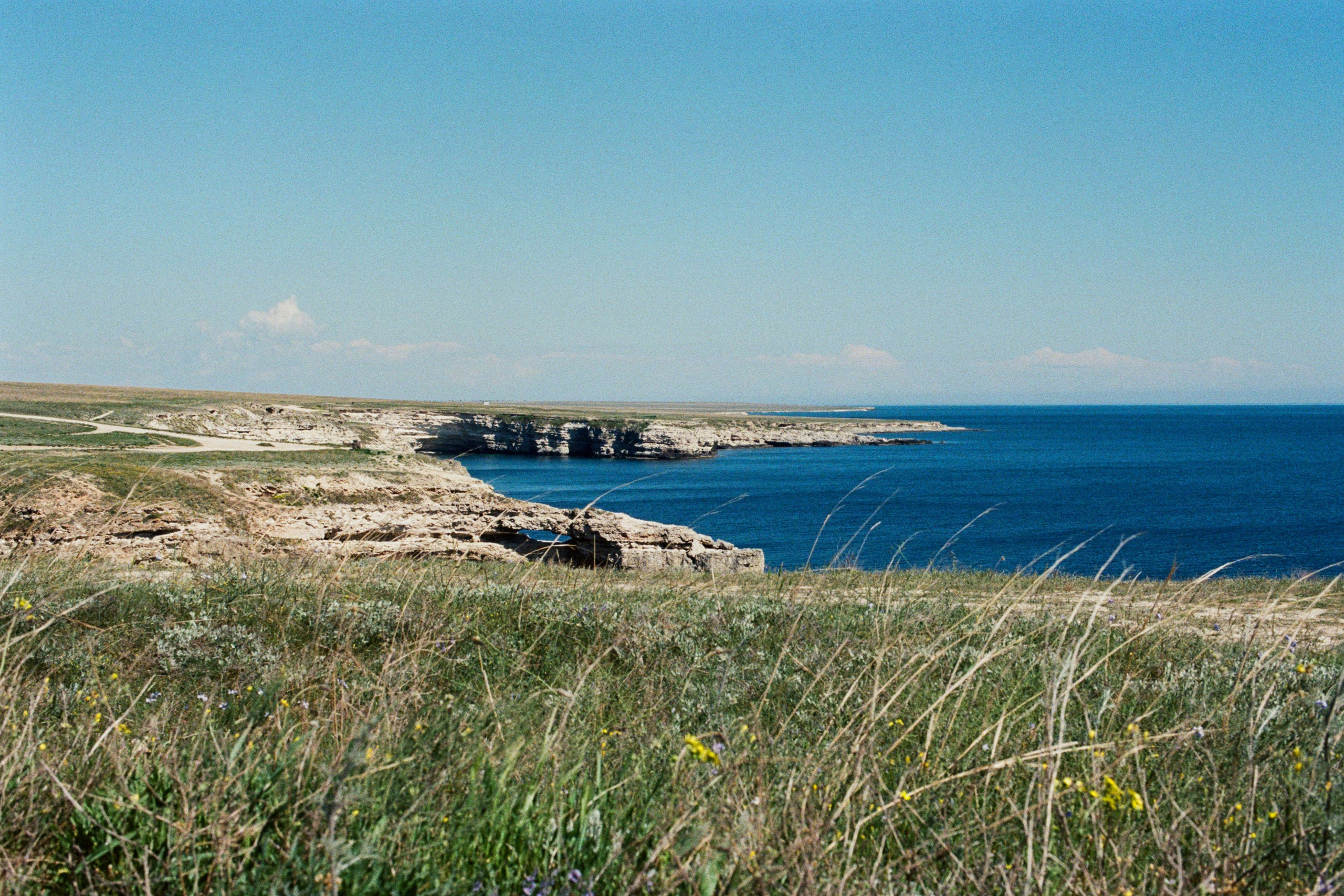 the drugs don't work // ukraine, crimea