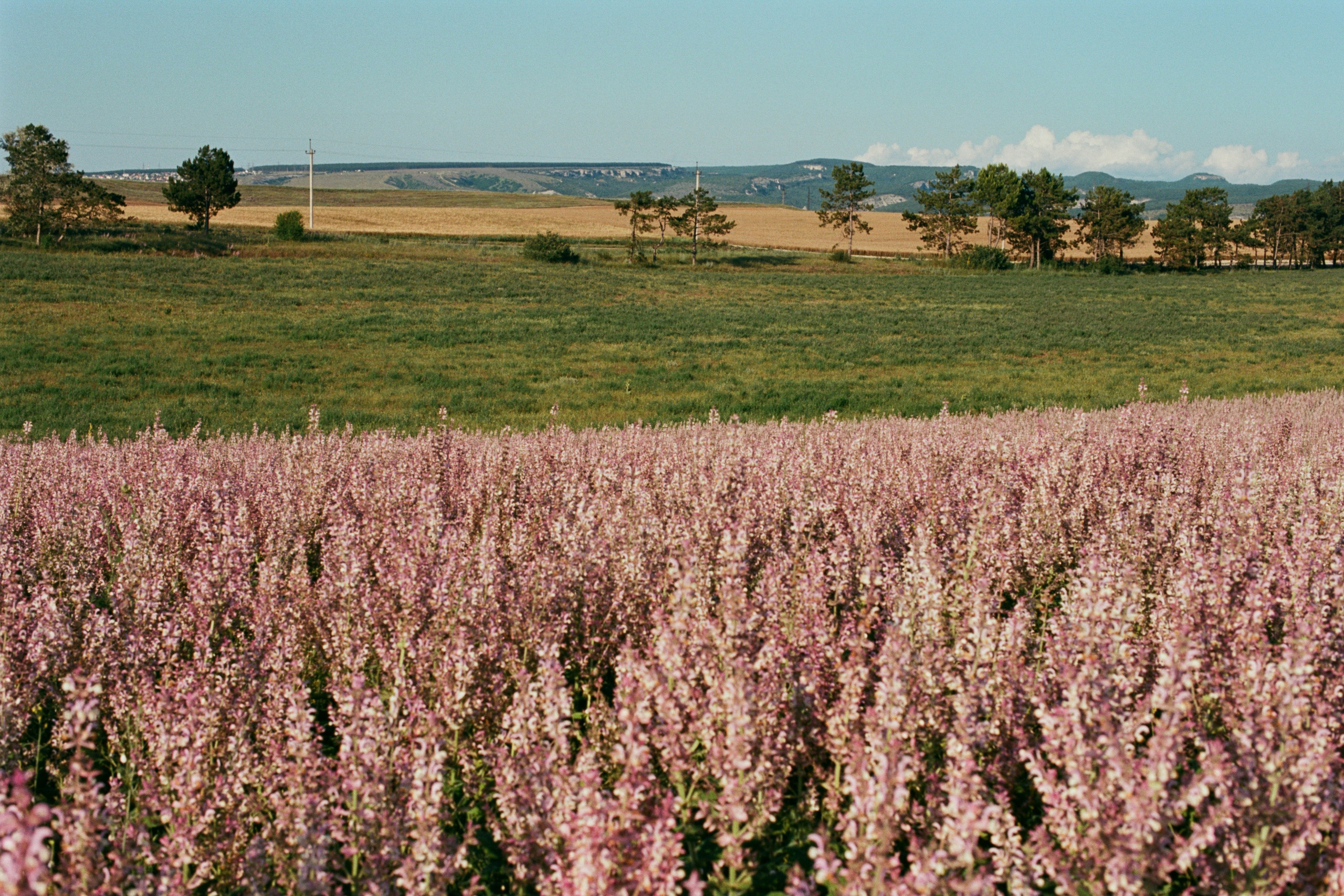 silent running // ukraine, crimea VI