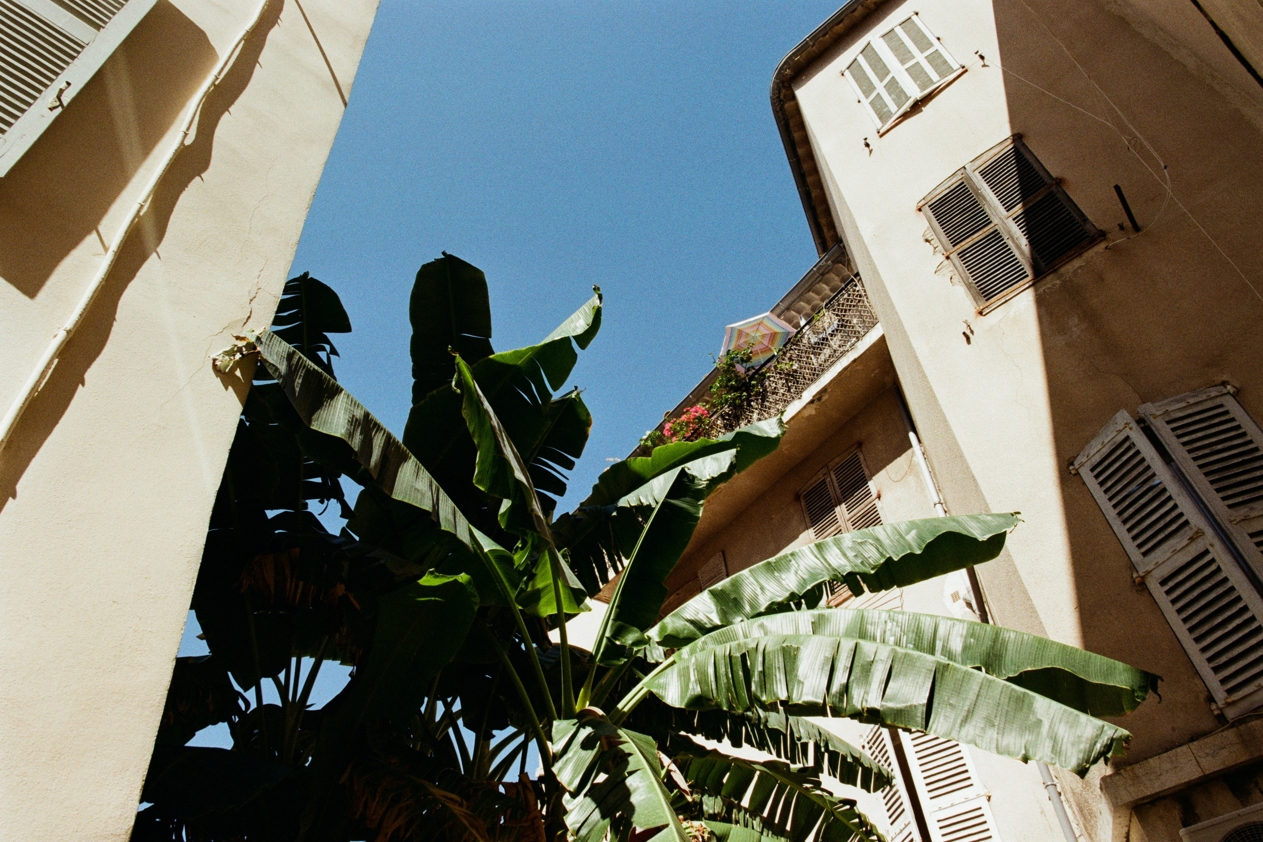 the contract // france, antibes