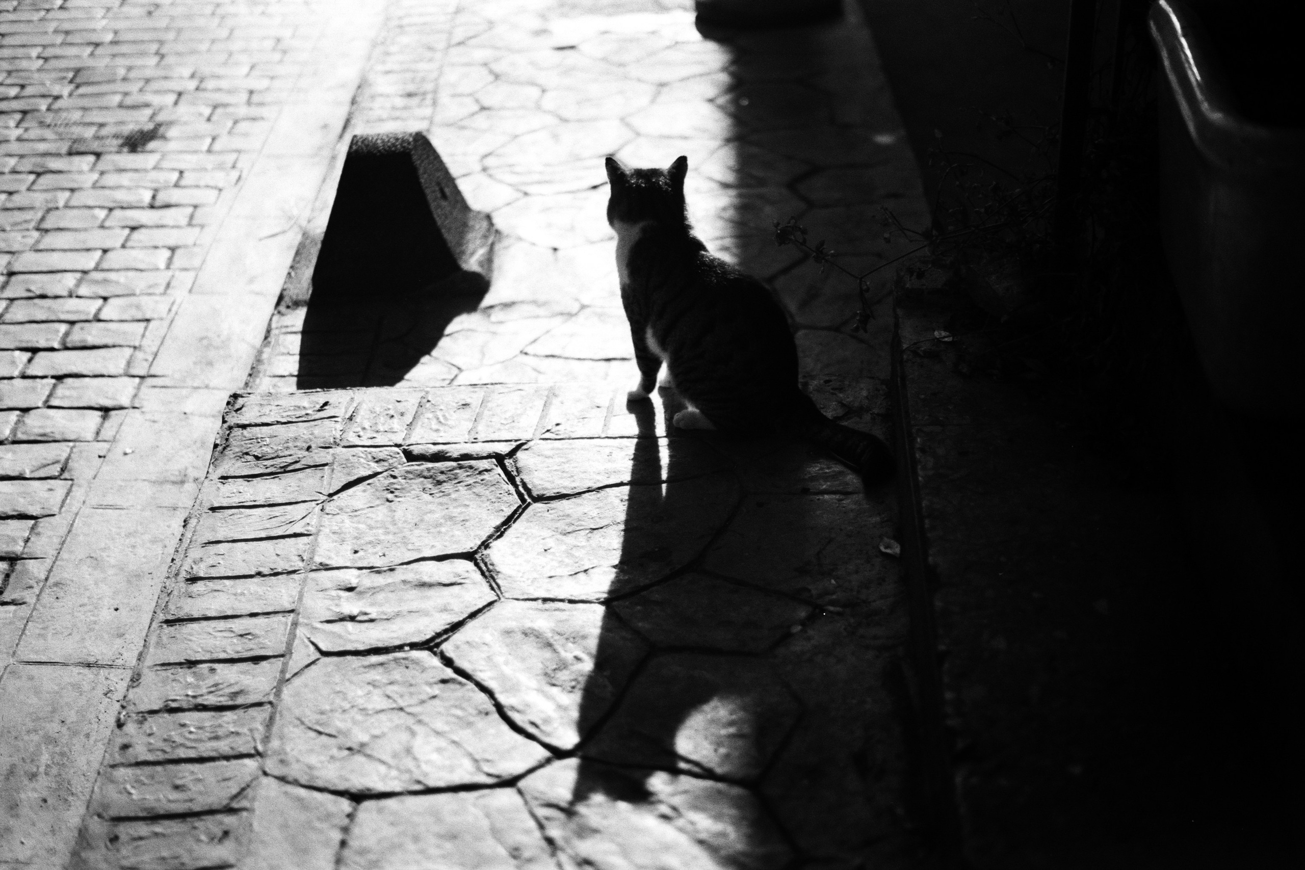 complicated // turkey, istanbul V