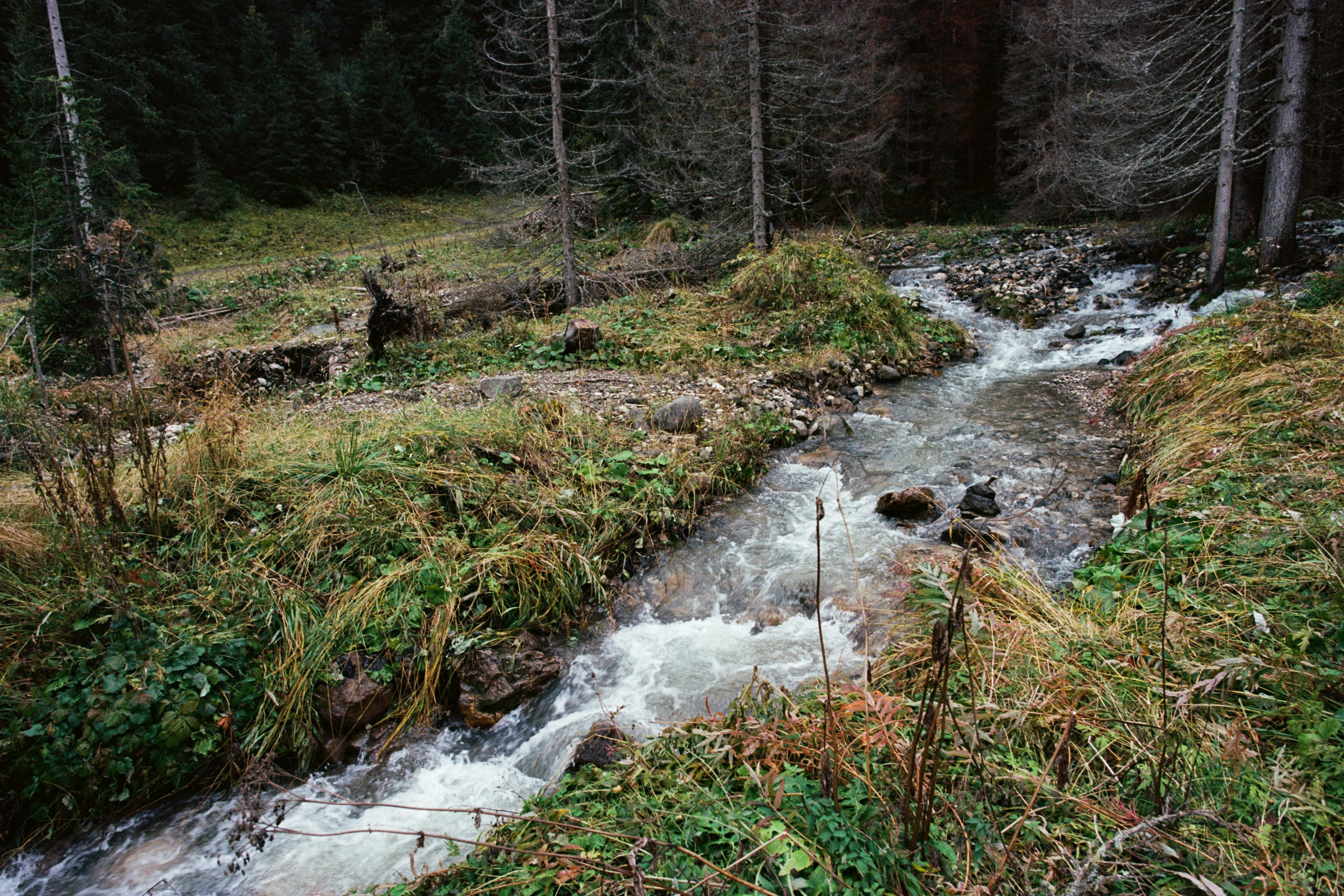 are you coming // italy, dolomites II