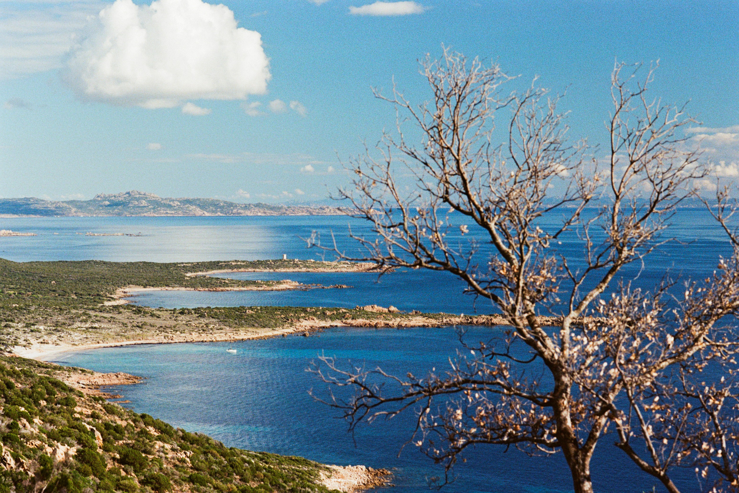 silence is also an answer // corsica II