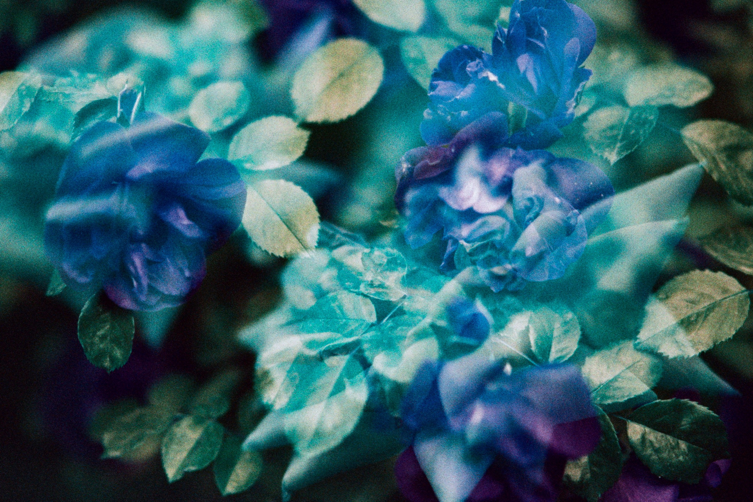 pain shopping // ukraine, crimea VII