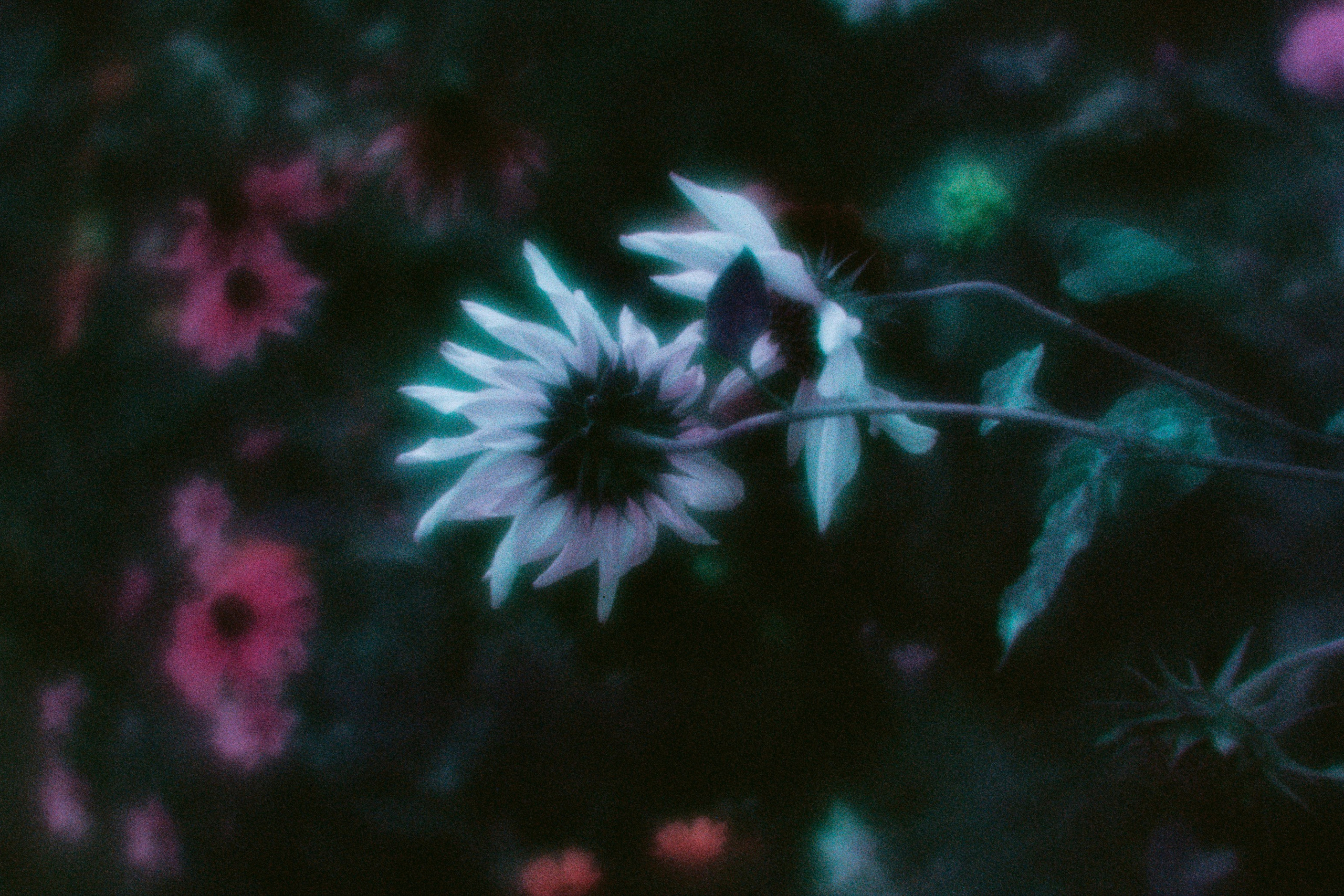 everything i could never say to you II