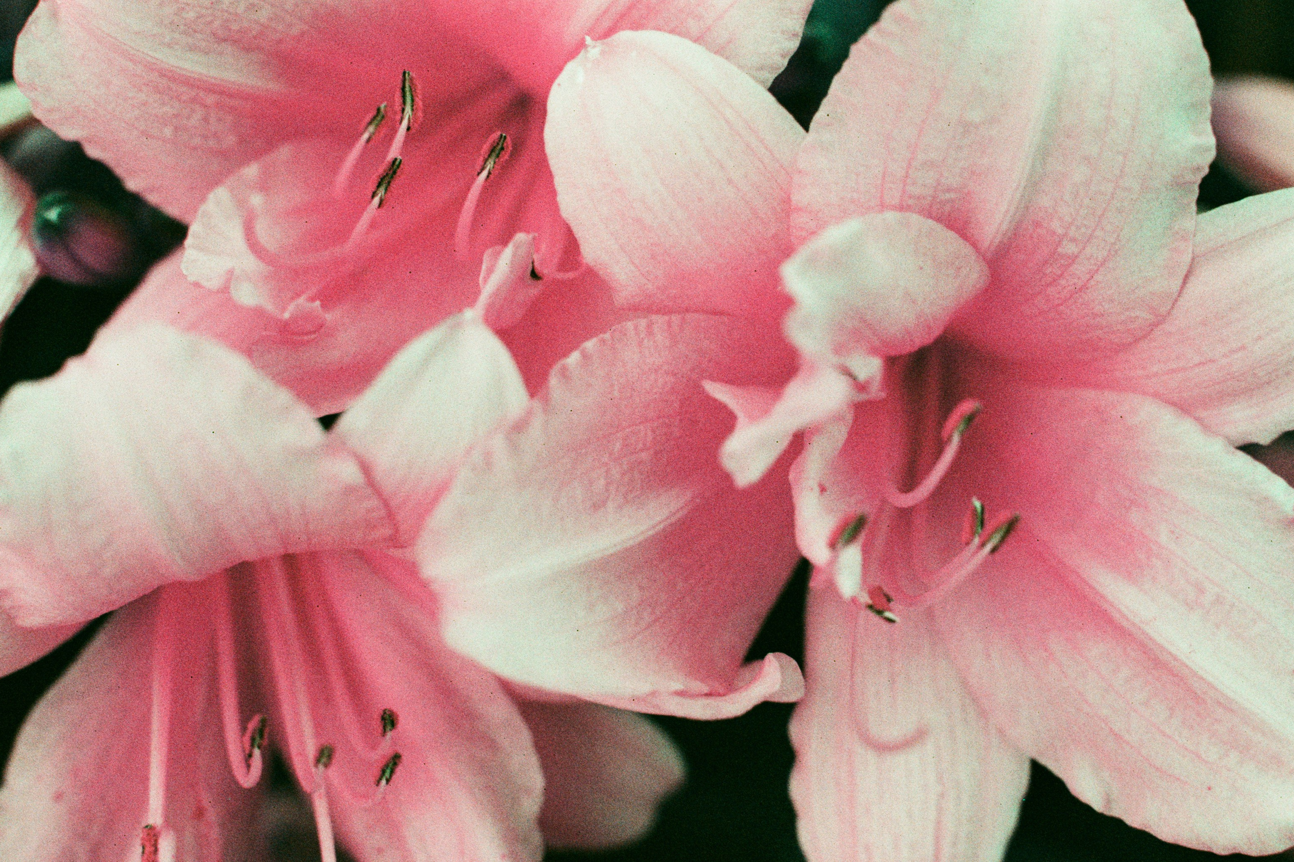 point of no reply // ukraine, crimea IV