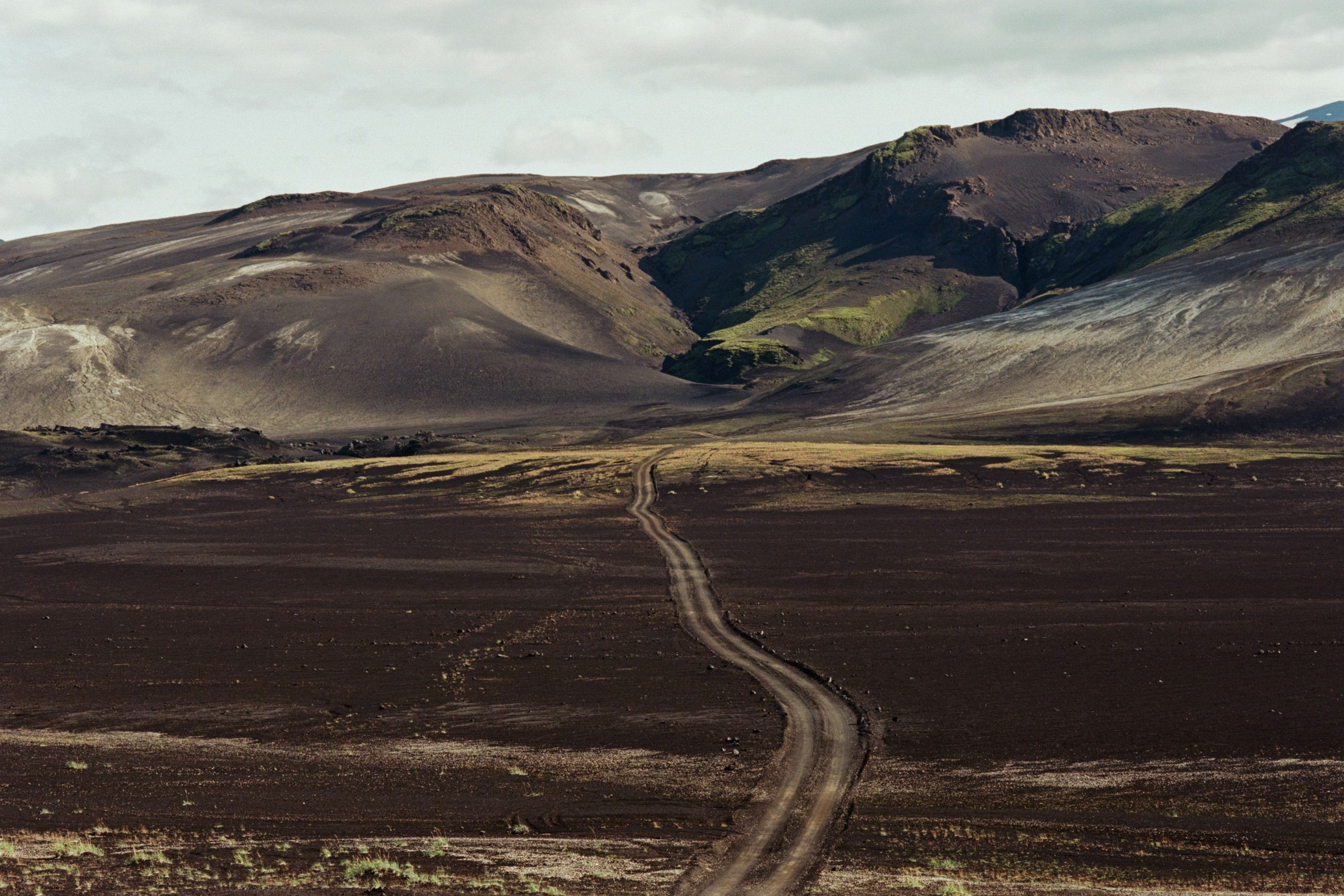visitor // iceland, f225 III