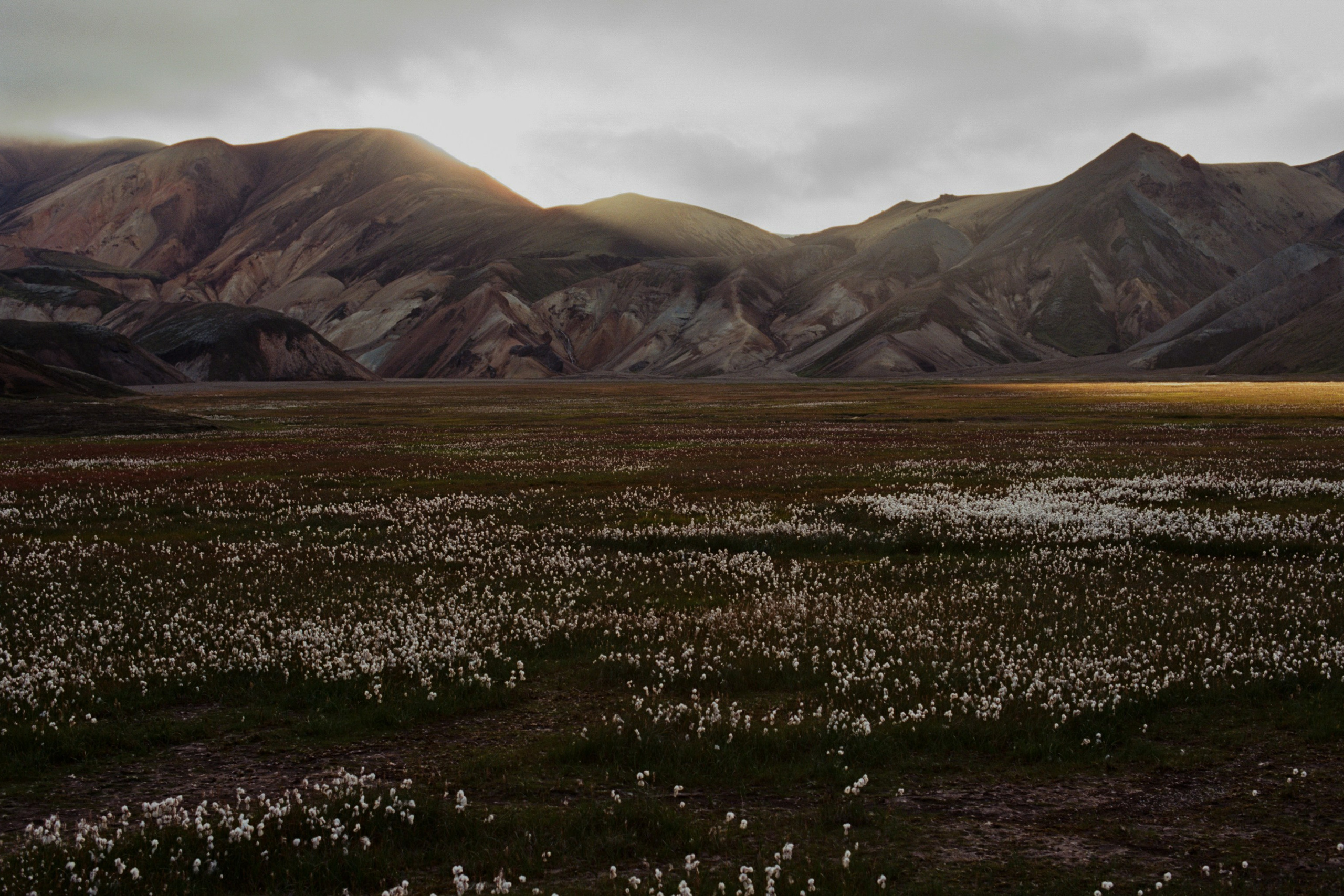 human // iceland, landmannalaugar