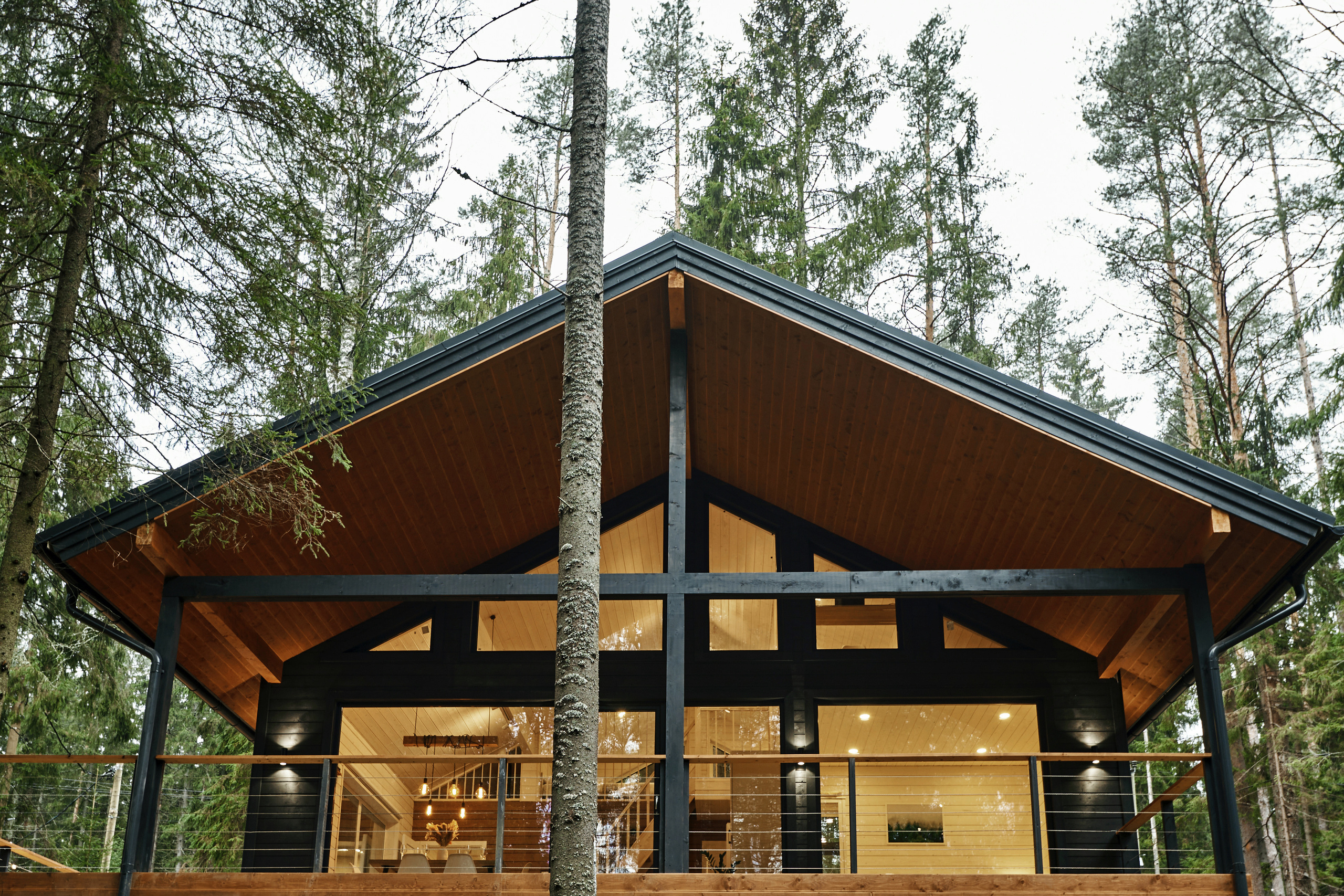 FOX IN FOREST | КОТТЕДЖ ДЛЯ ОТДЫХА