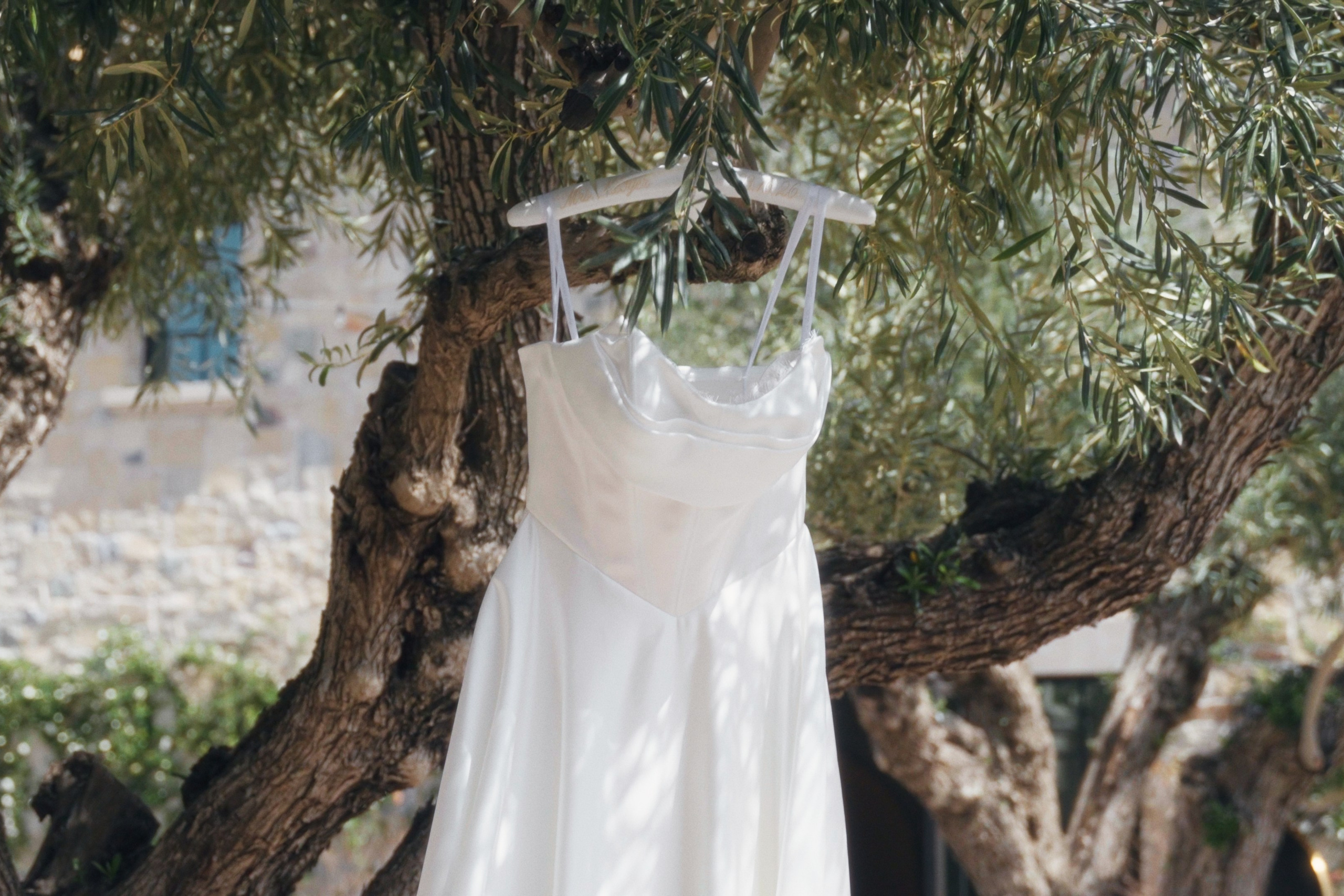 Stephanie and Torri’s Wedding Video. Professional colorgrading service
