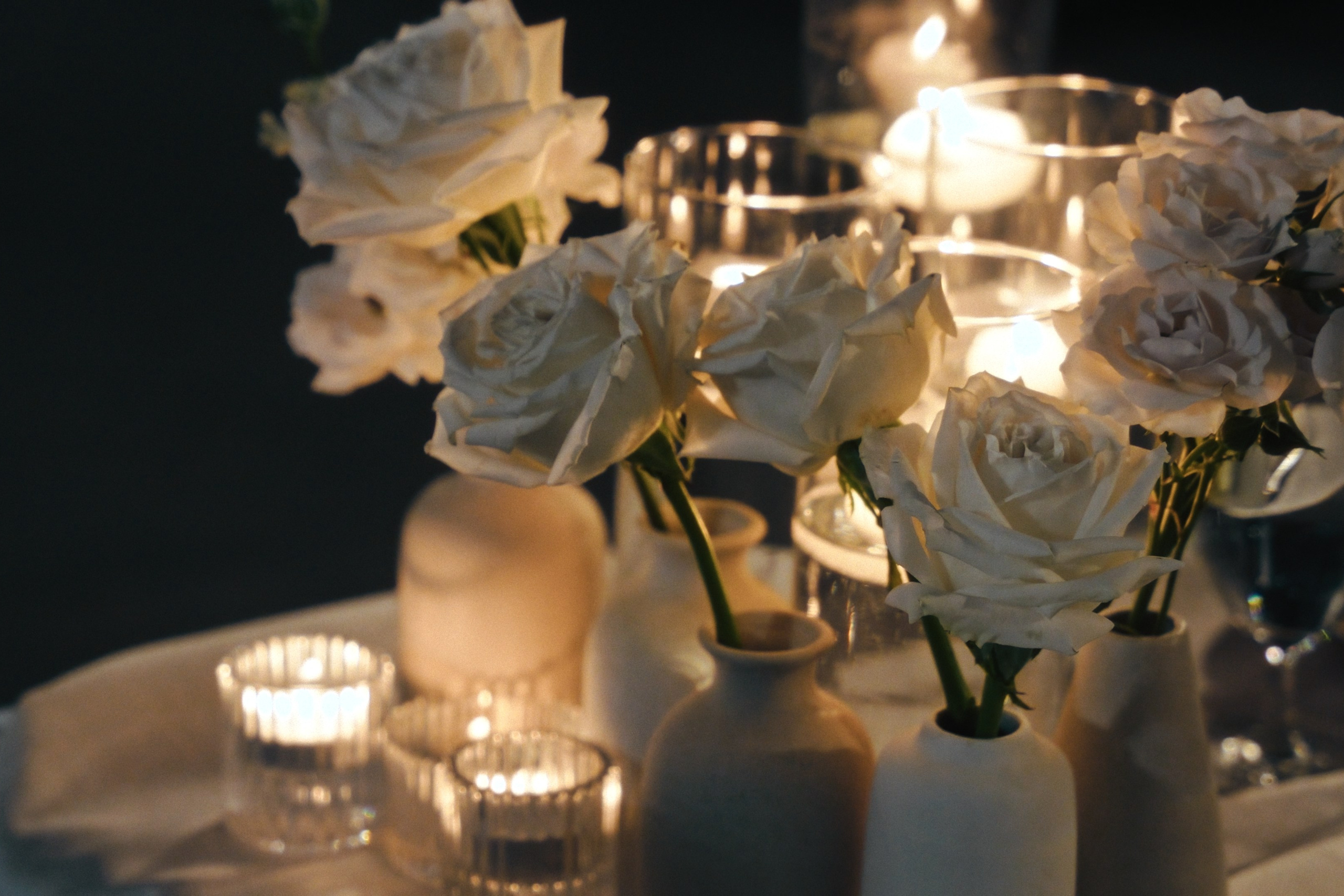 Stephanie and Torri’s Wedding Video. Professional colorgrading service