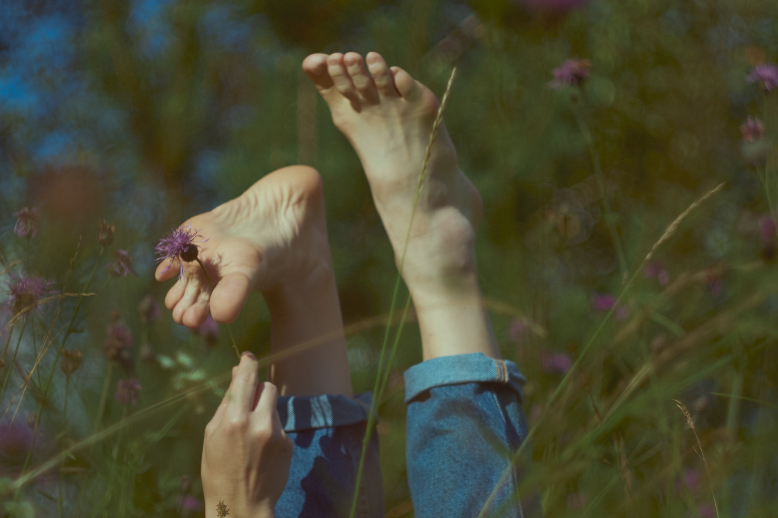 Summer field