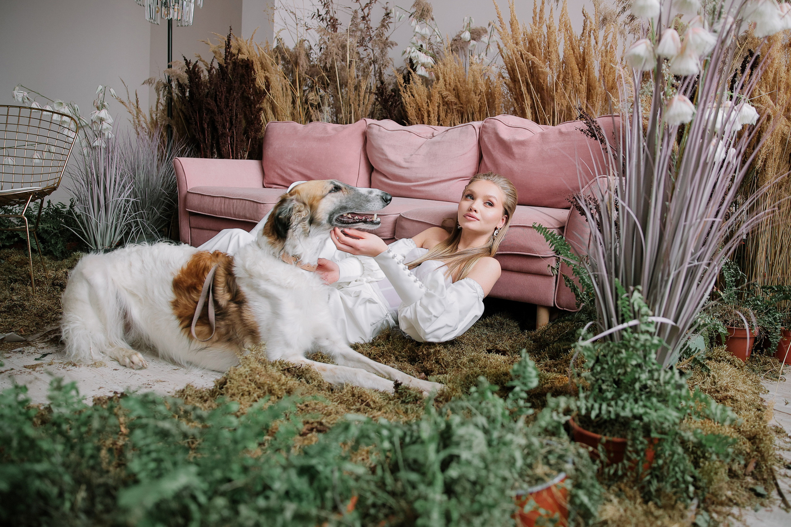 Борзое утро