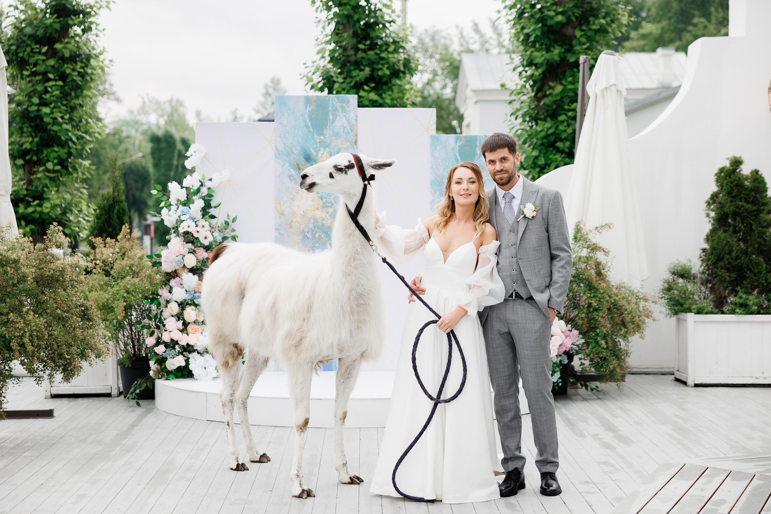 Московское небо