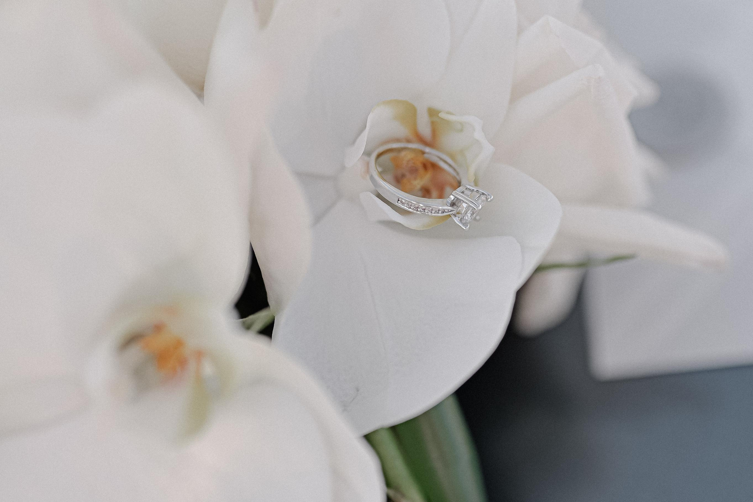 Владимир и Ксения