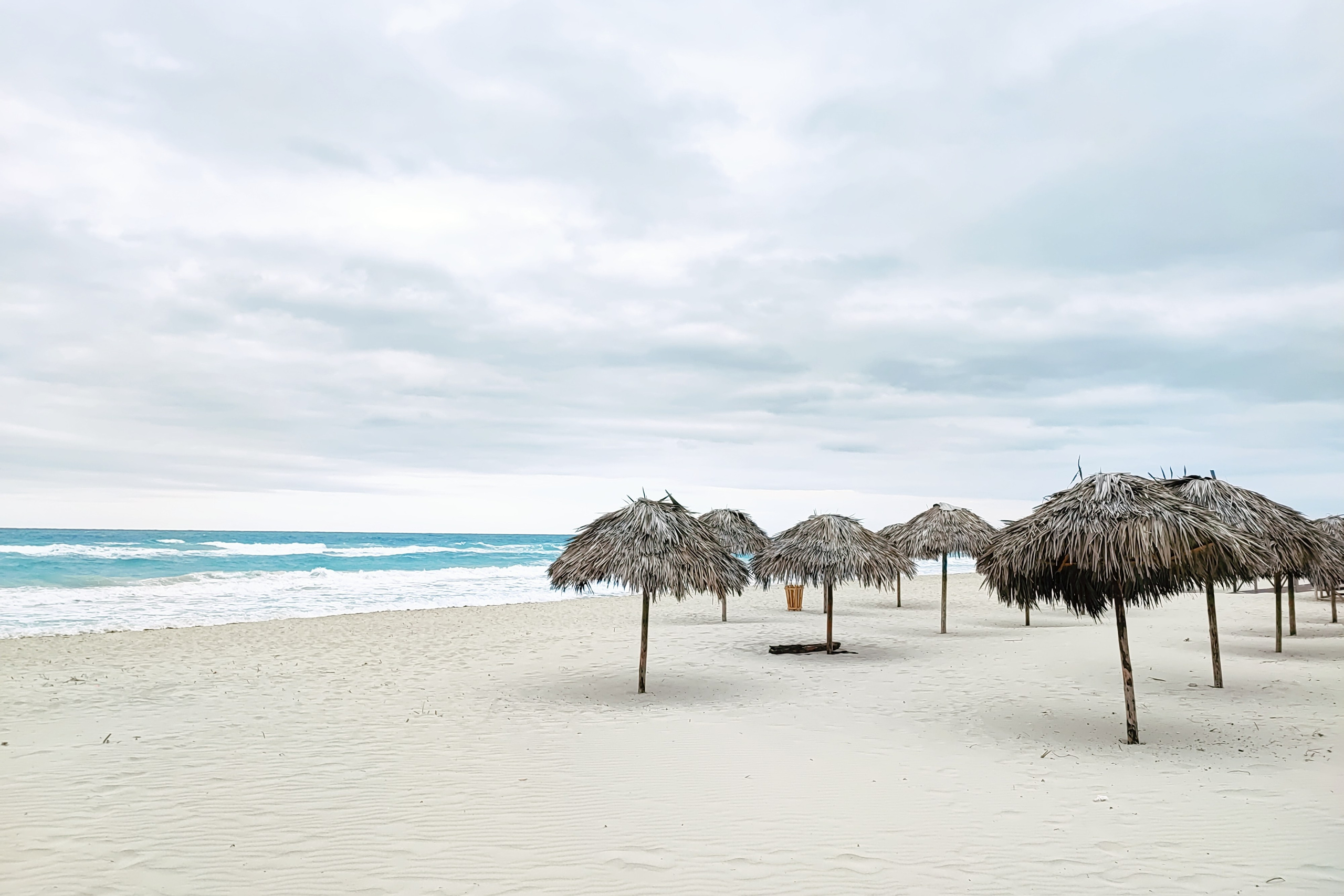 намобилкус кубинский