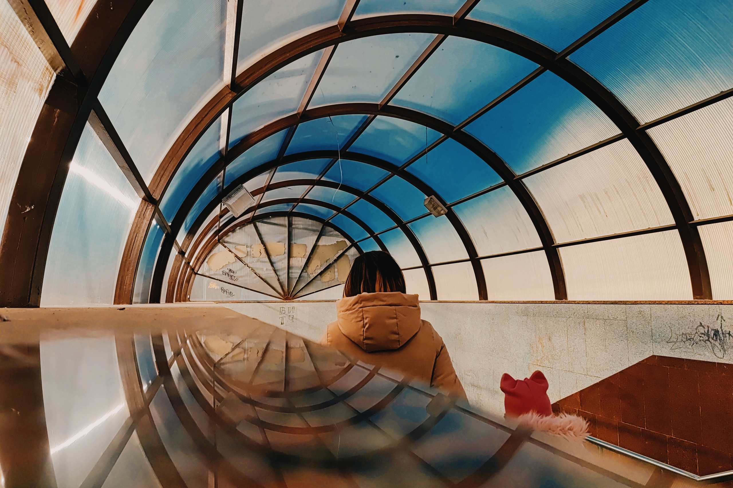 намобилкус тульский