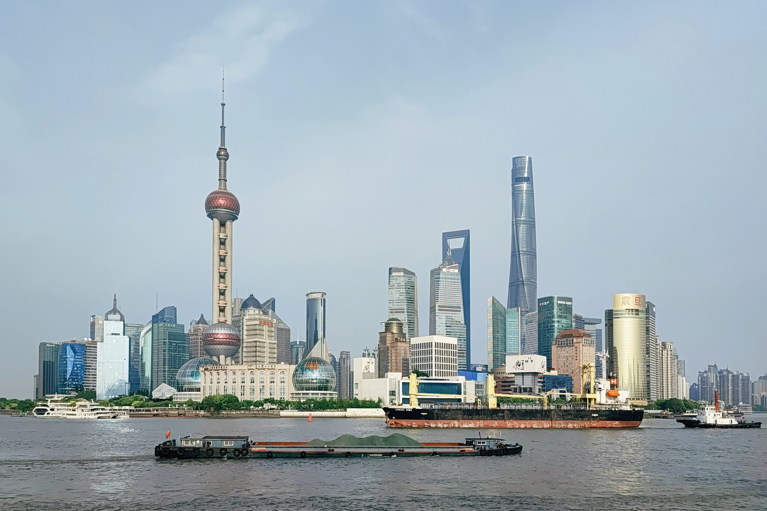 намобилкус китайский