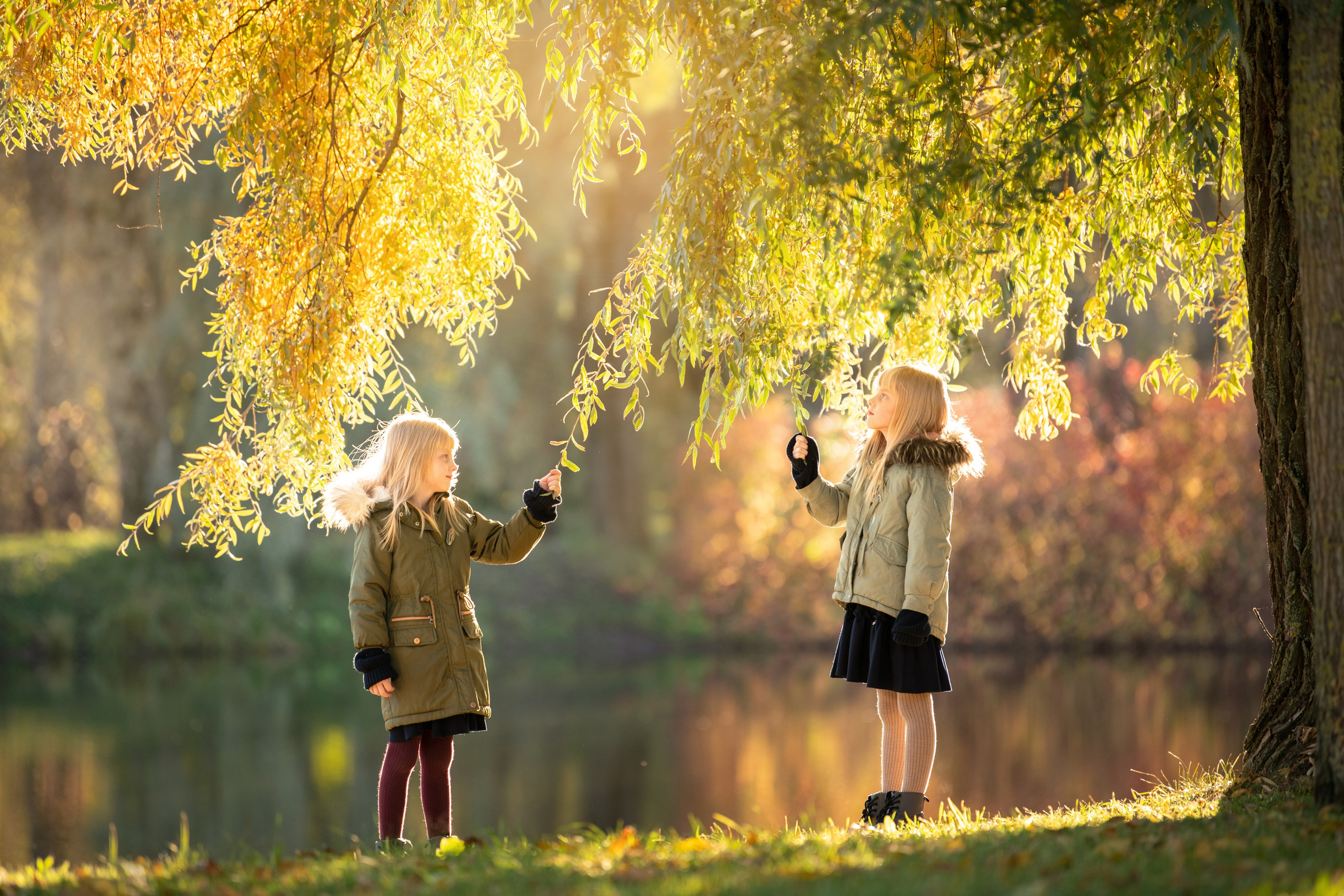 Художественная фотография