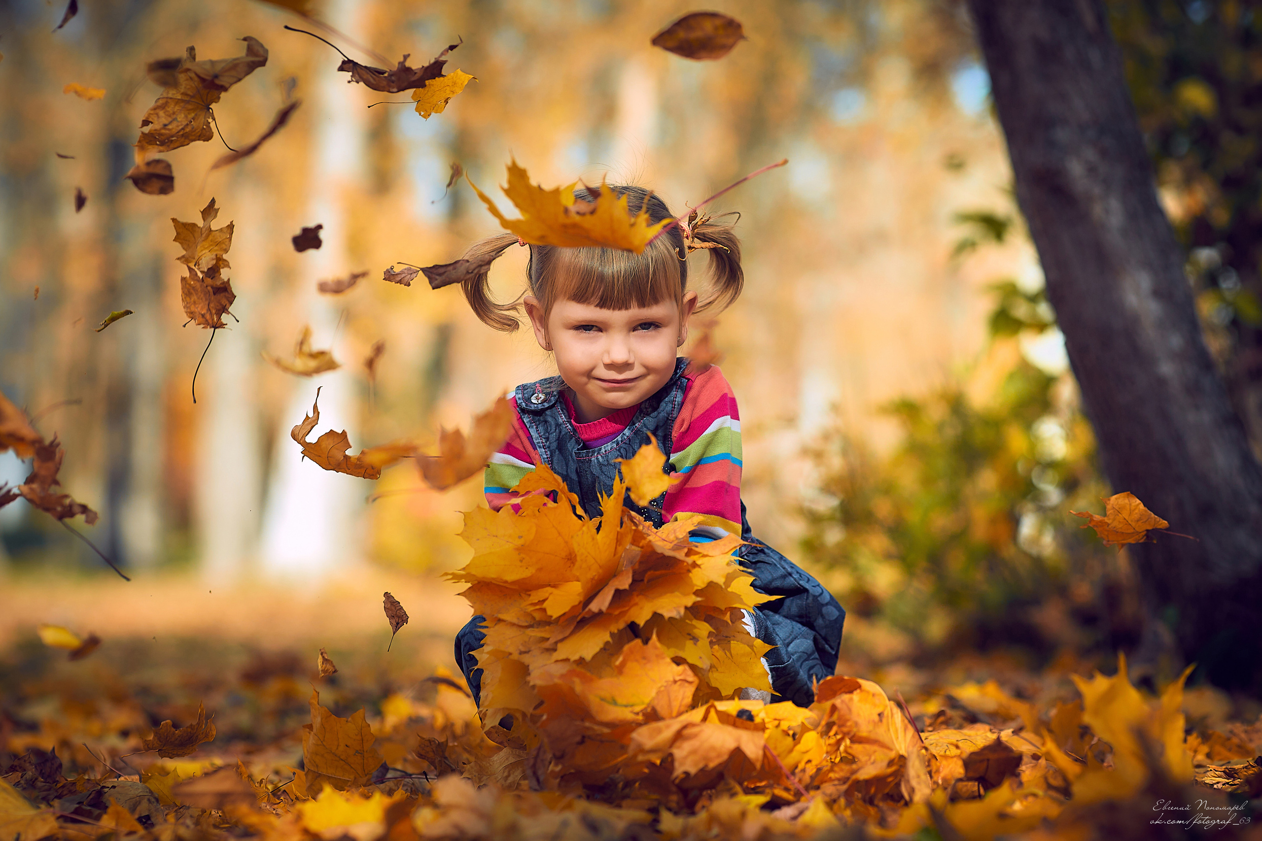 Золотая осень