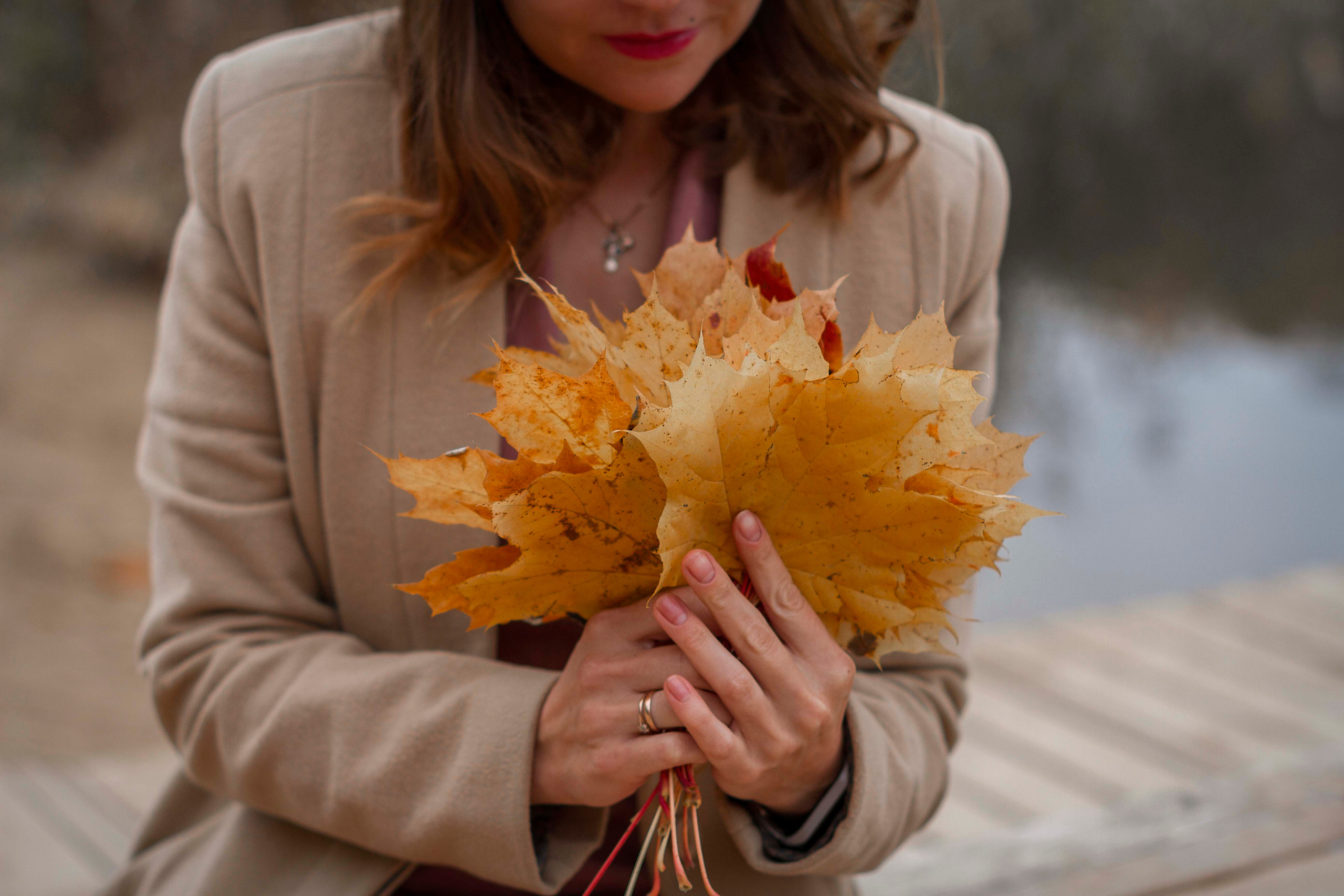 Осень с Еленой