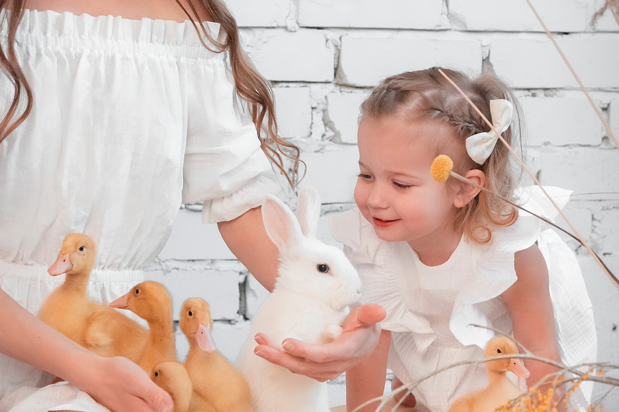 Фотодень с кроликами и утятами